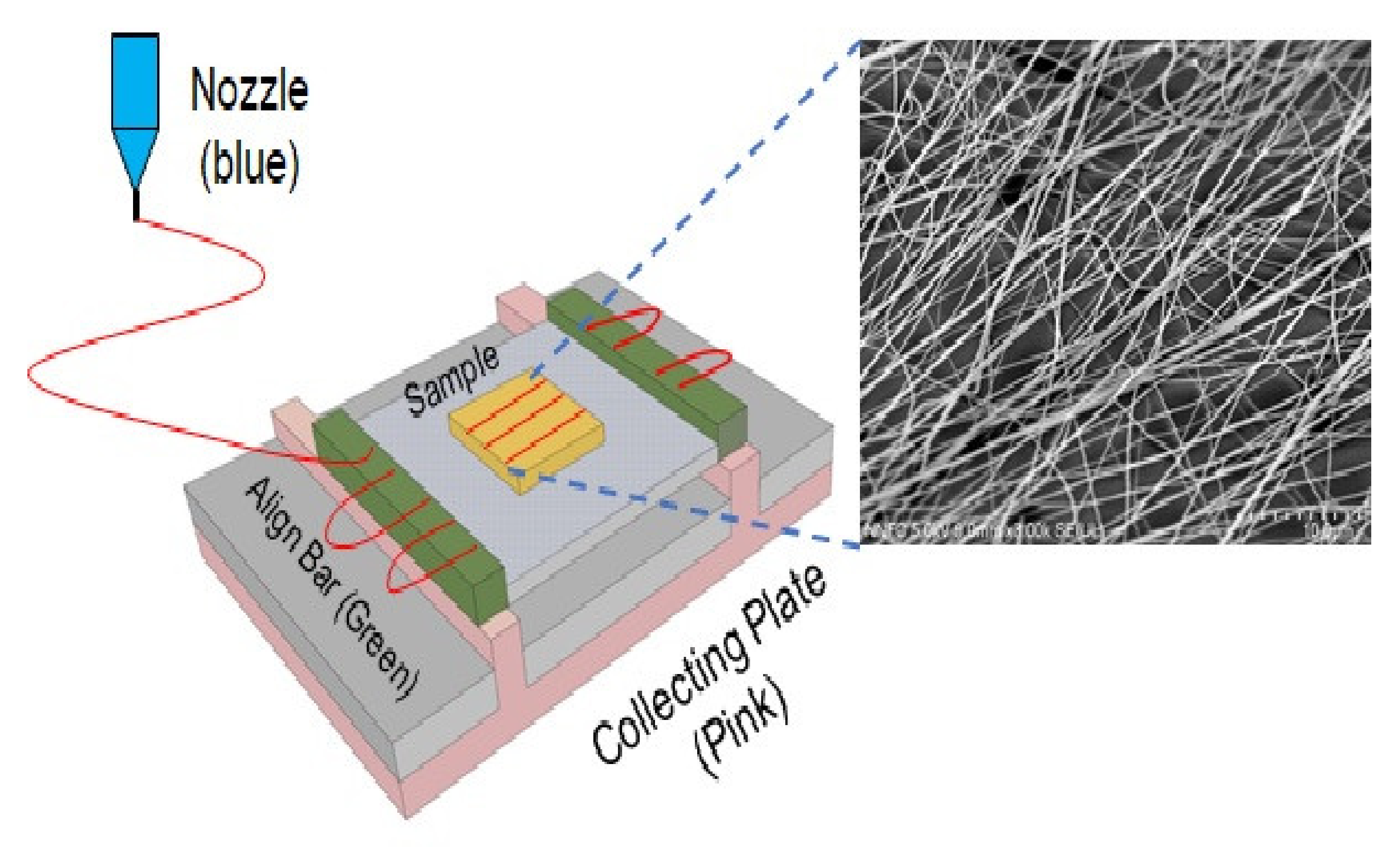 Applsci 11 05565 g002 Applsci 11 05565 g002