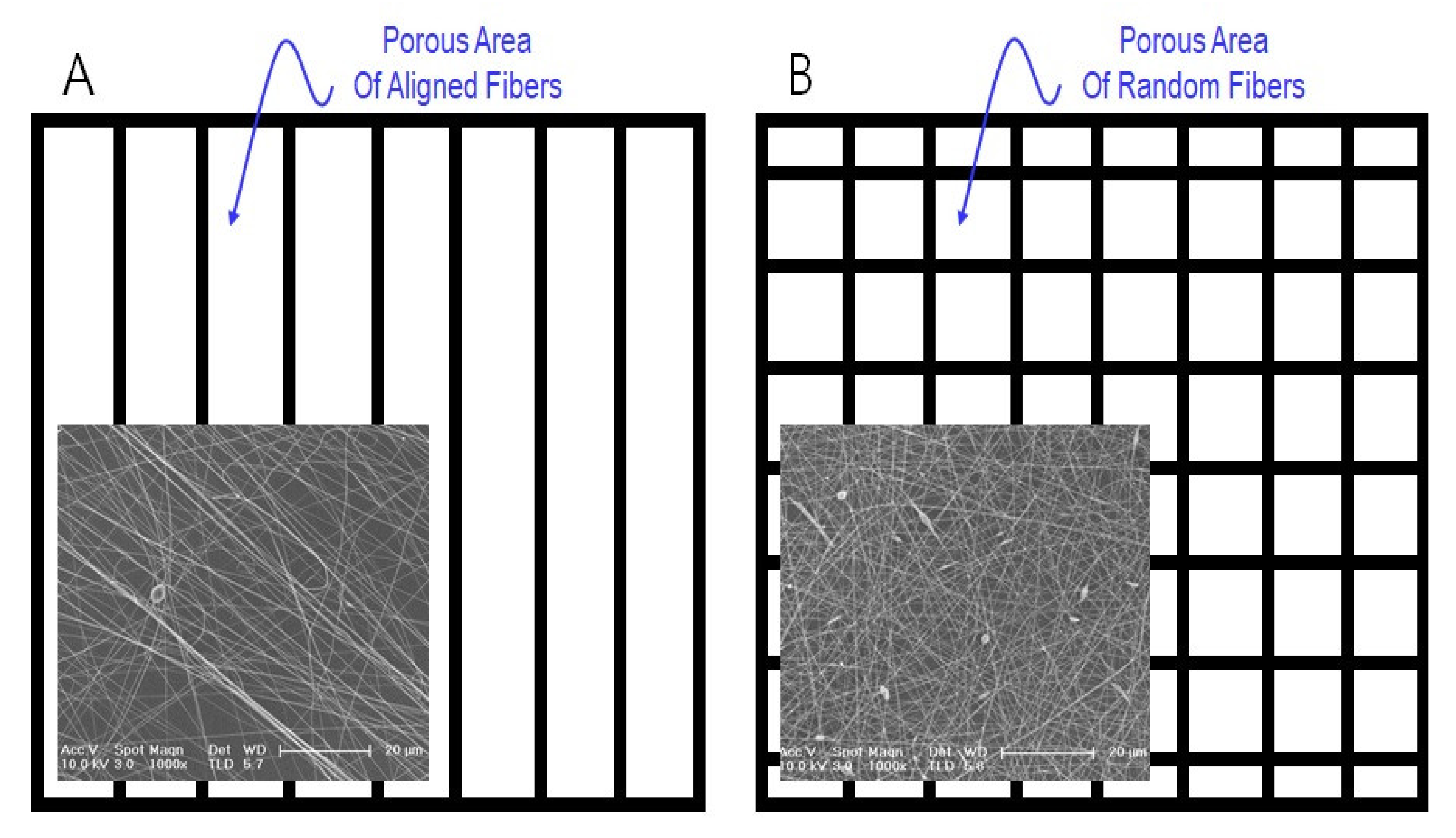 Applsci 11 05565 g008 Applsci 11 05565 g008