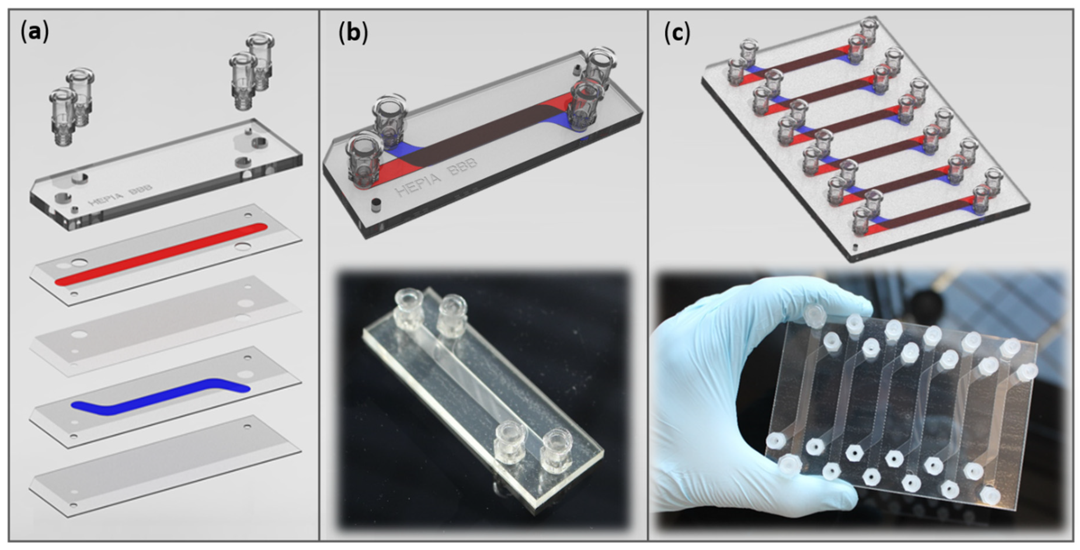 Applsci 11 05584 g001 Applsci 11 05584 g001