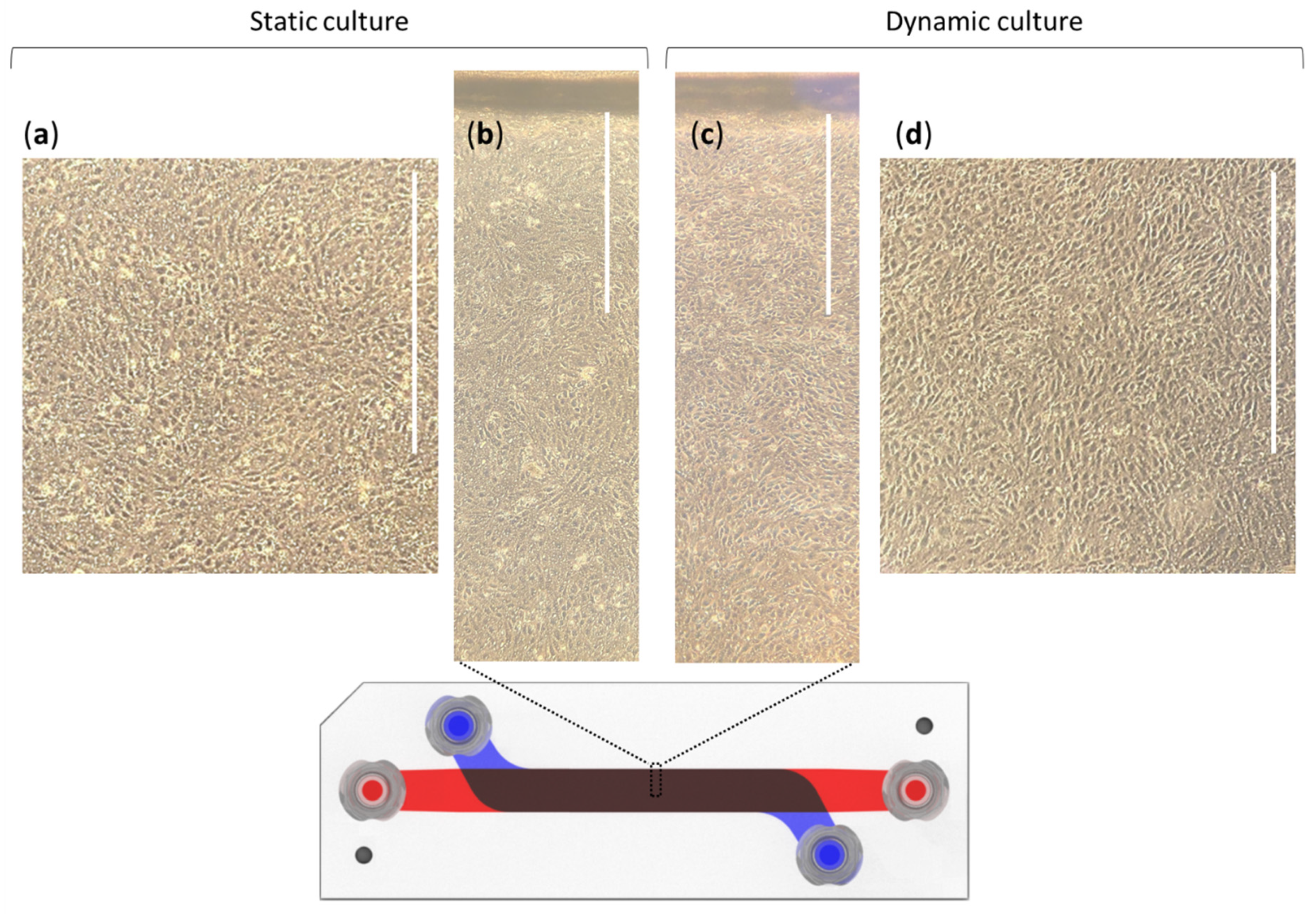 Applsci 11 05584 g003 Applsci 11 05584 g003