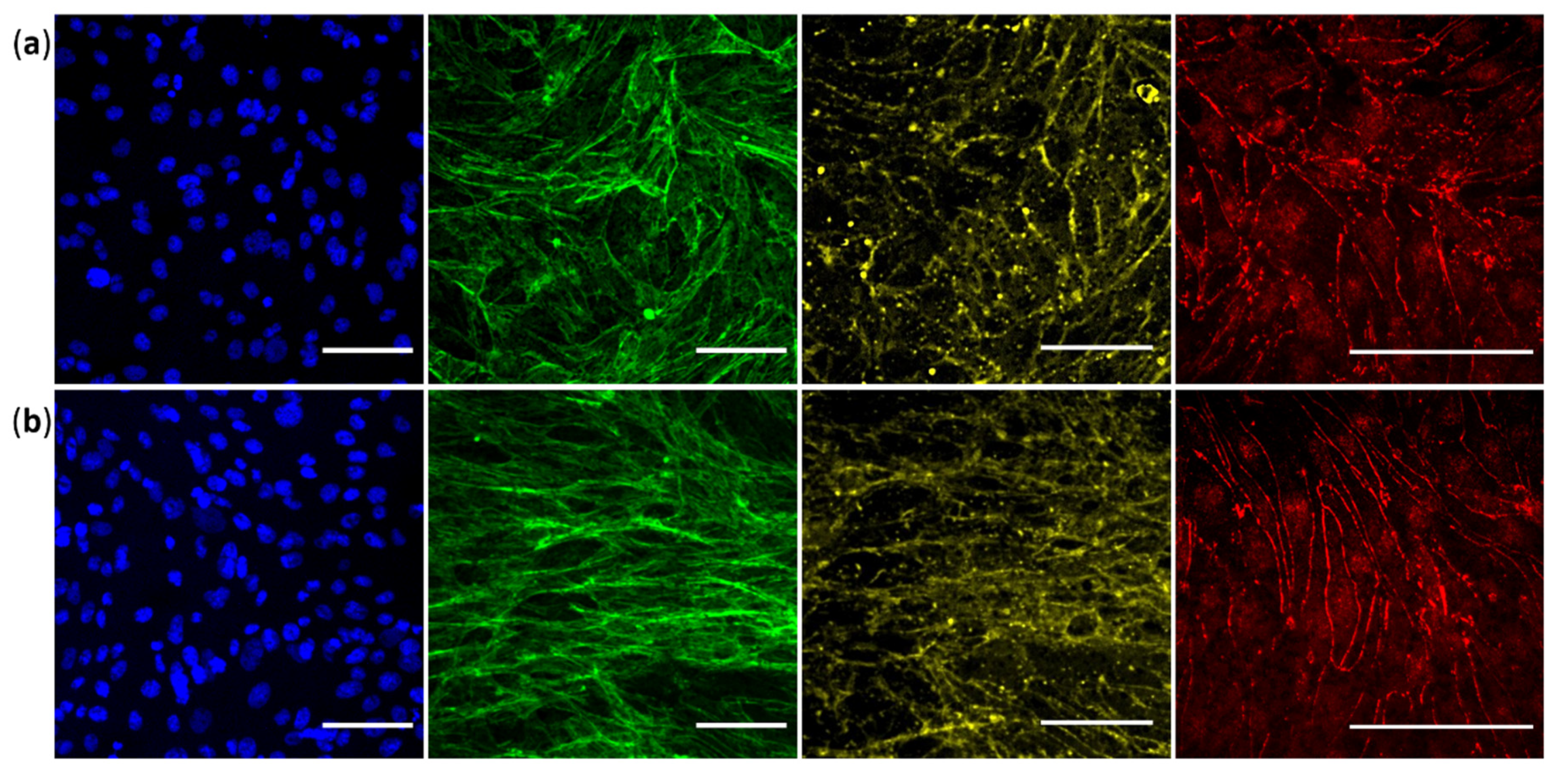 Applsci 11 05584 g004 Applsci 11 05584 g004