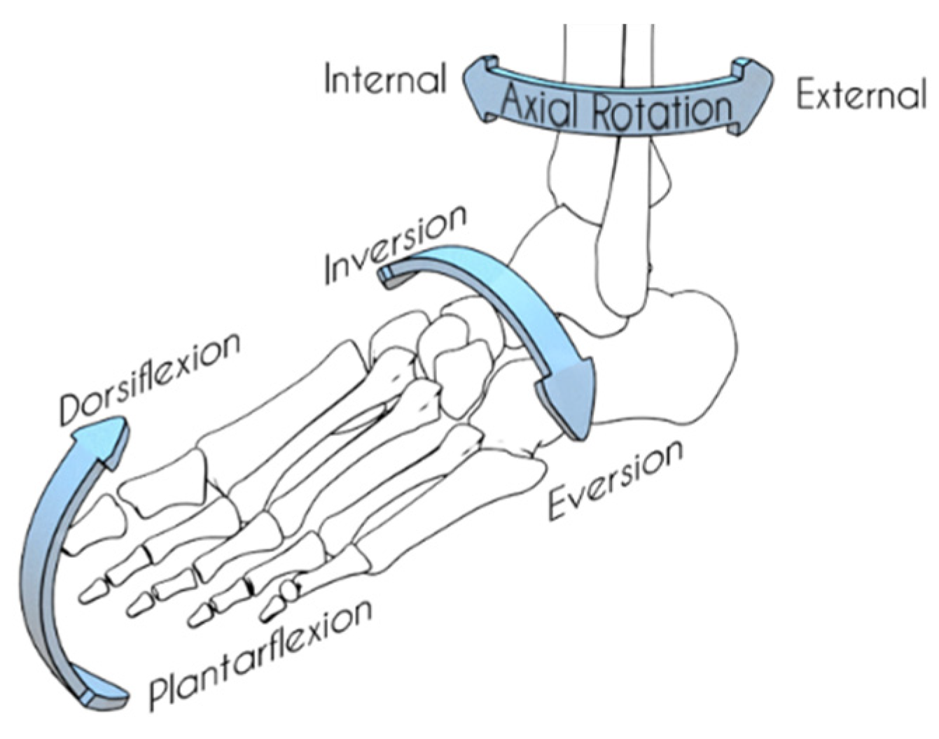 PDF] Application of self-report and performance-based outcome measures to  determine functional differences between four categories of prosthetic  feet. | Semantic Scholar