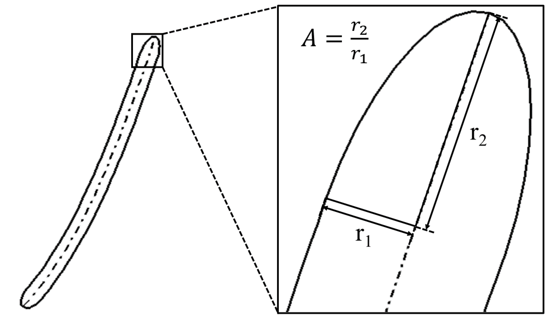 Applied Sciences Free FullText Effect of Blade Leading and