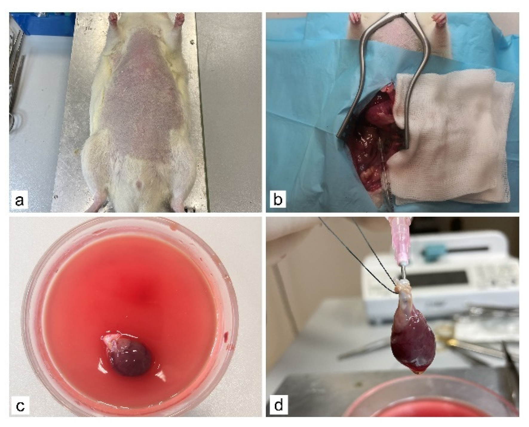 Applsci 11 05603 g001