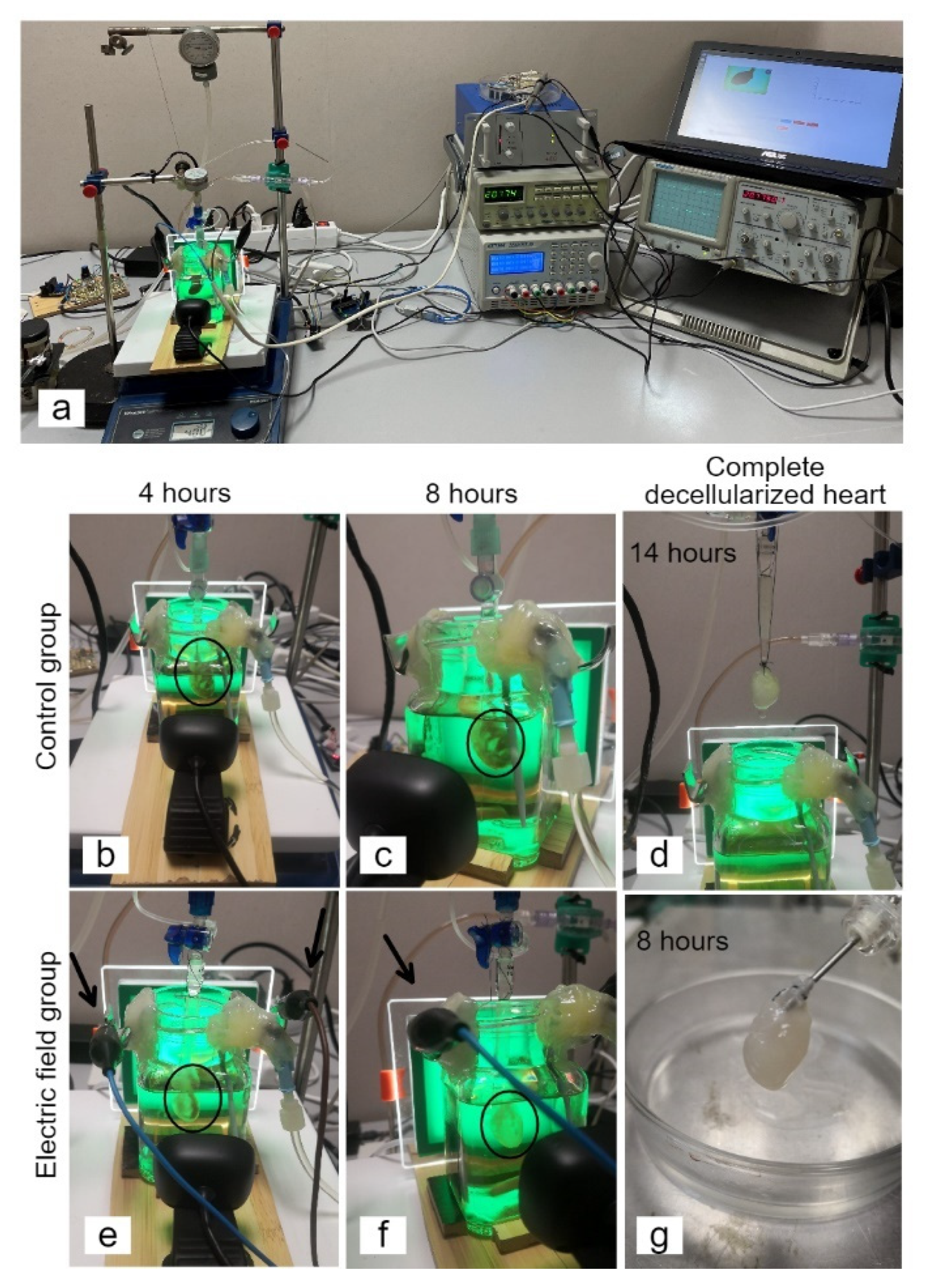 Applsci 11 05603 g002