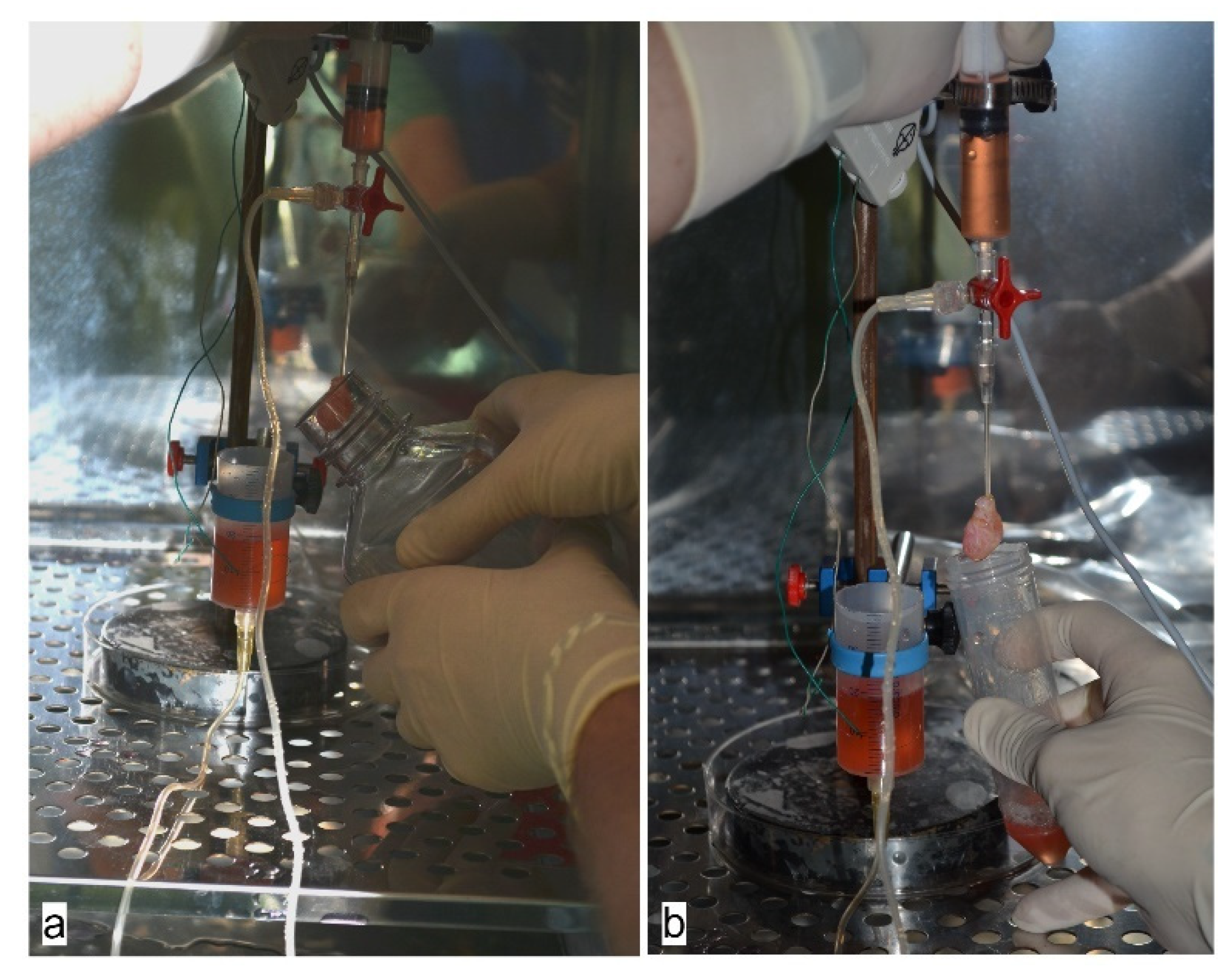 Applsci 11 05603 g003