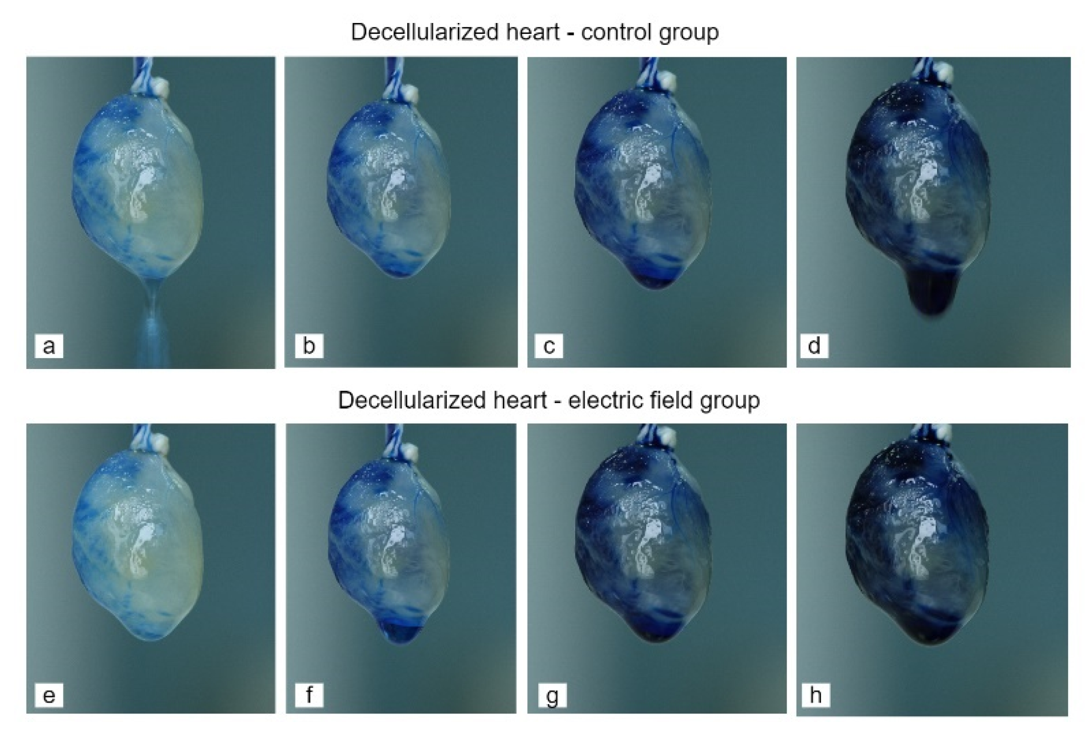 Applsci 11 05603 g004