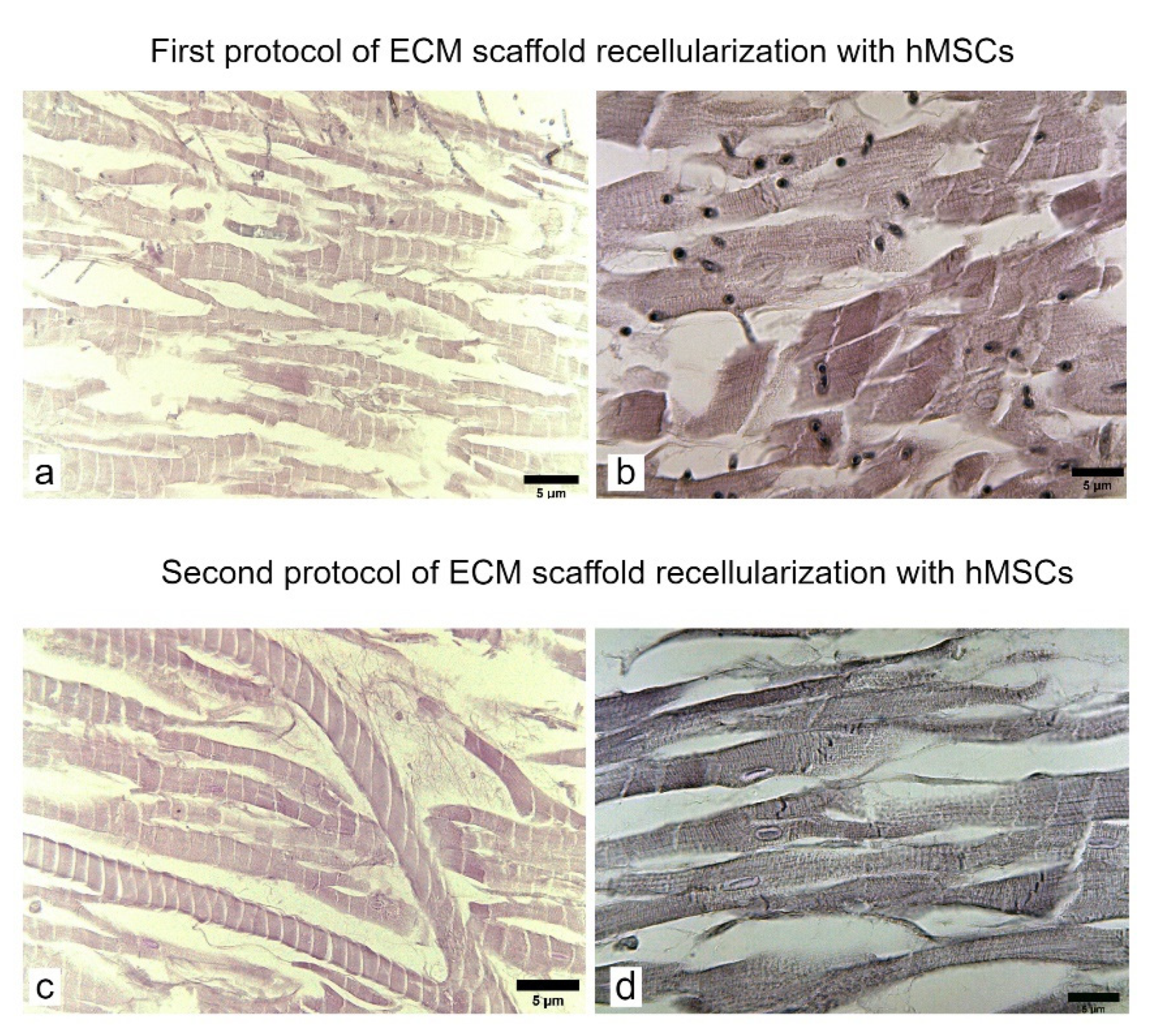 Applsci 11 05603 g008