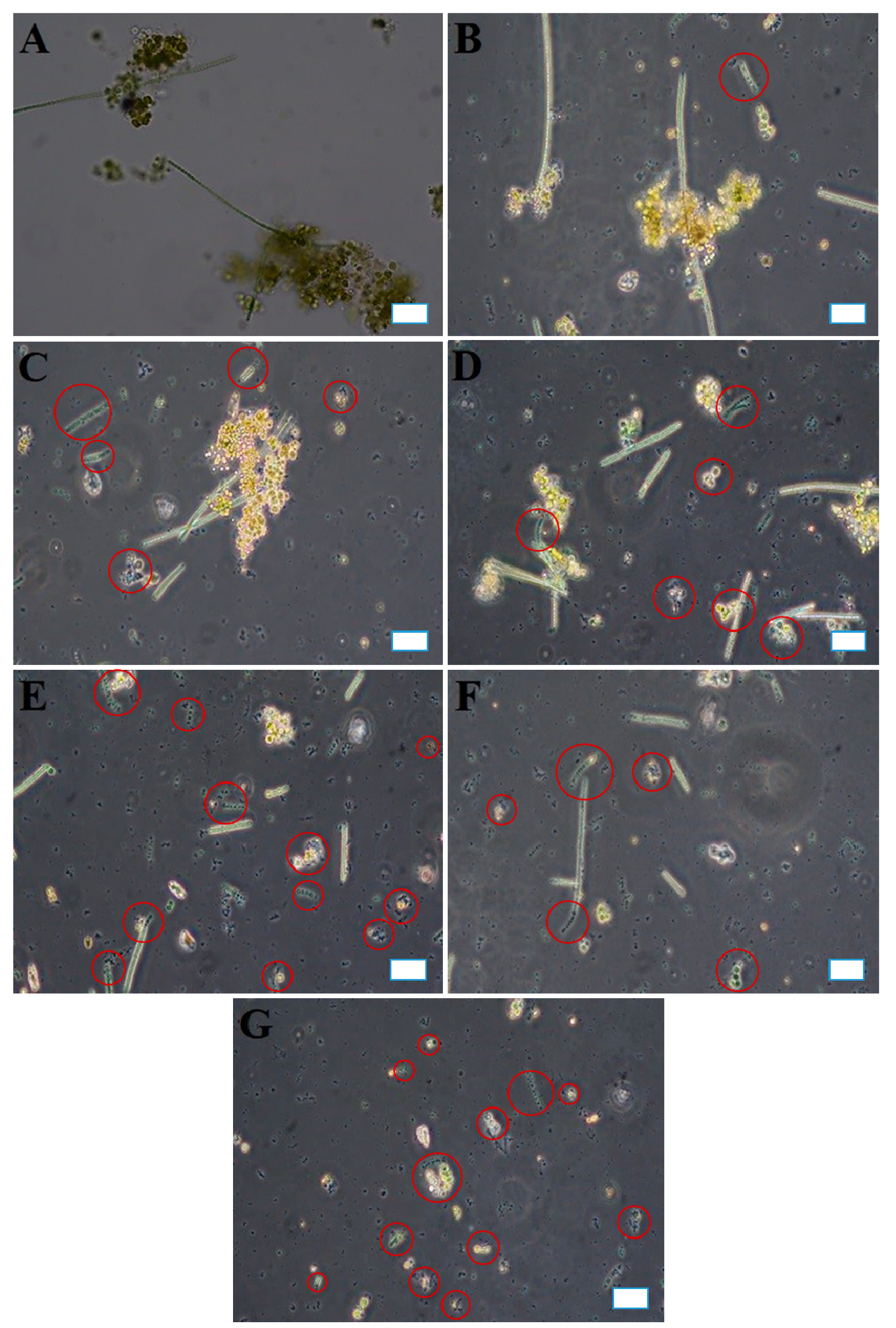 Applsci 11 05607 g006 Applsci 11 05607 g006