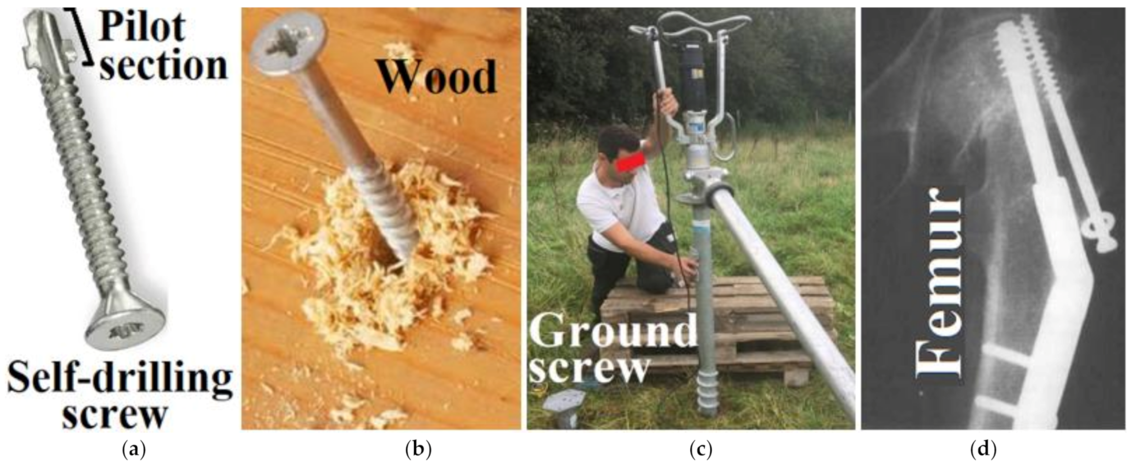 Applsci 11 05616 g001