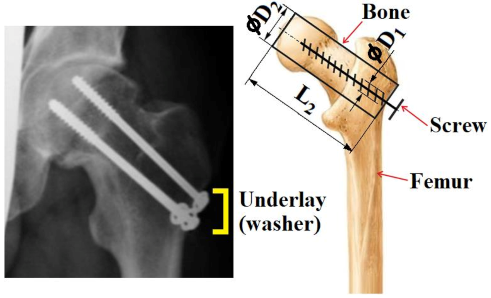 Applsci 11 05616 g011