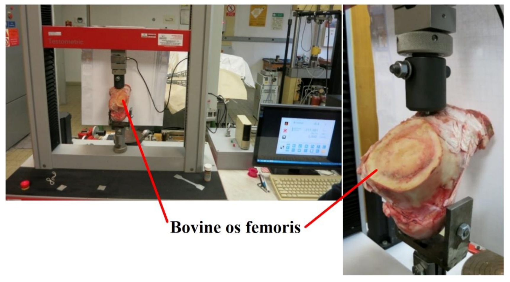 Applsci 11 05616 g012