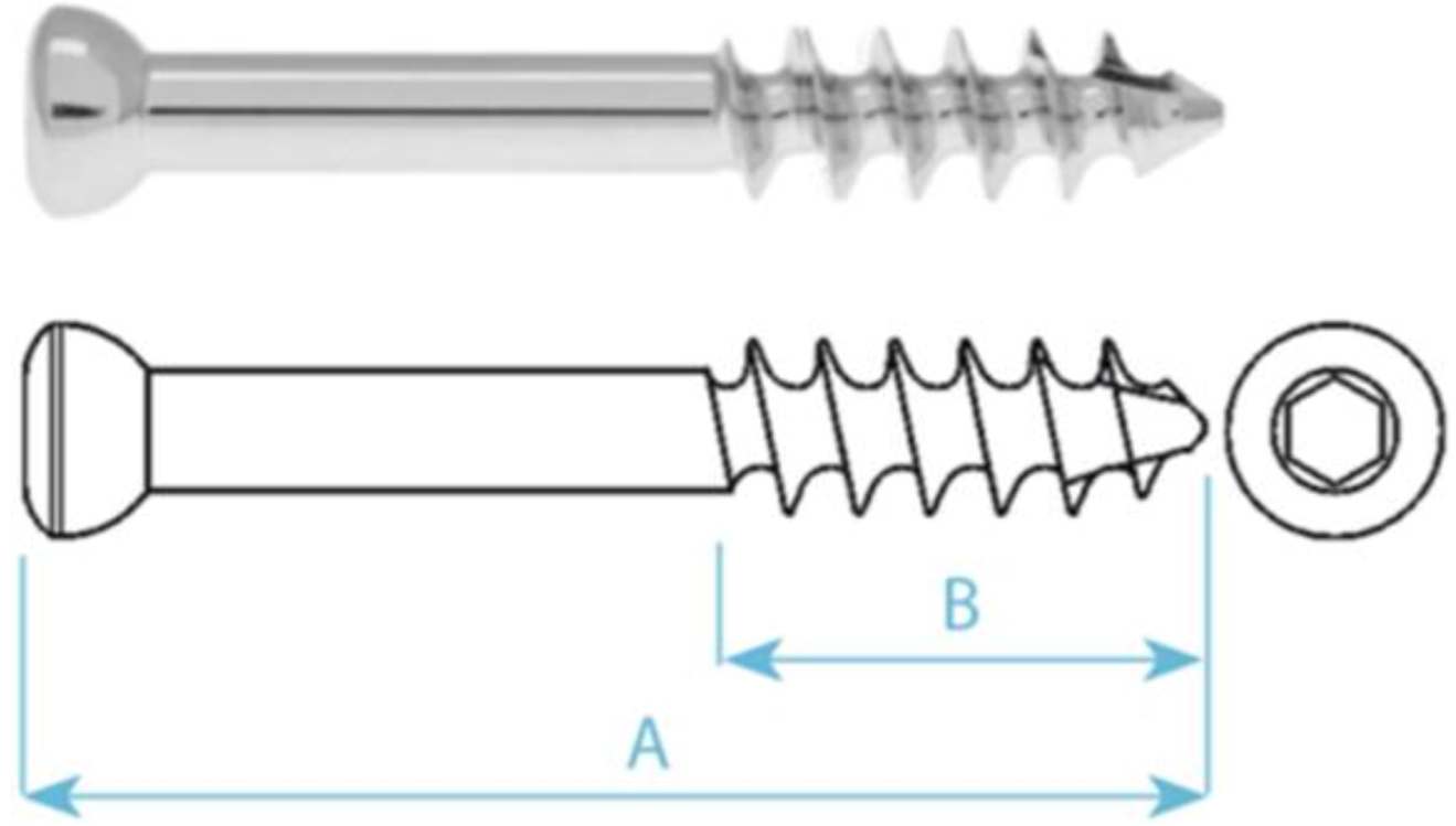 Applsci 11 05616 i001