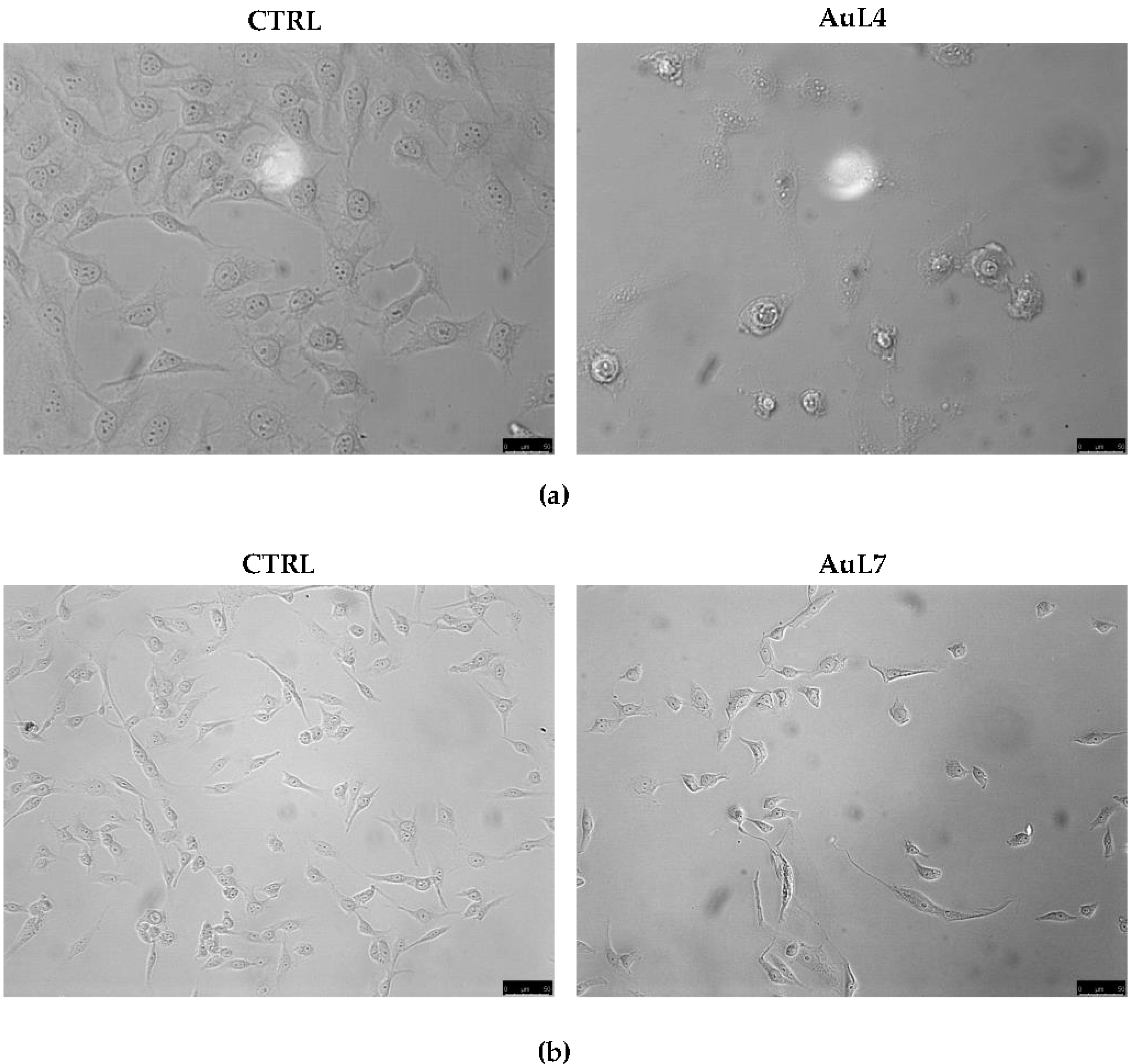 Applsci 11 05626 g002