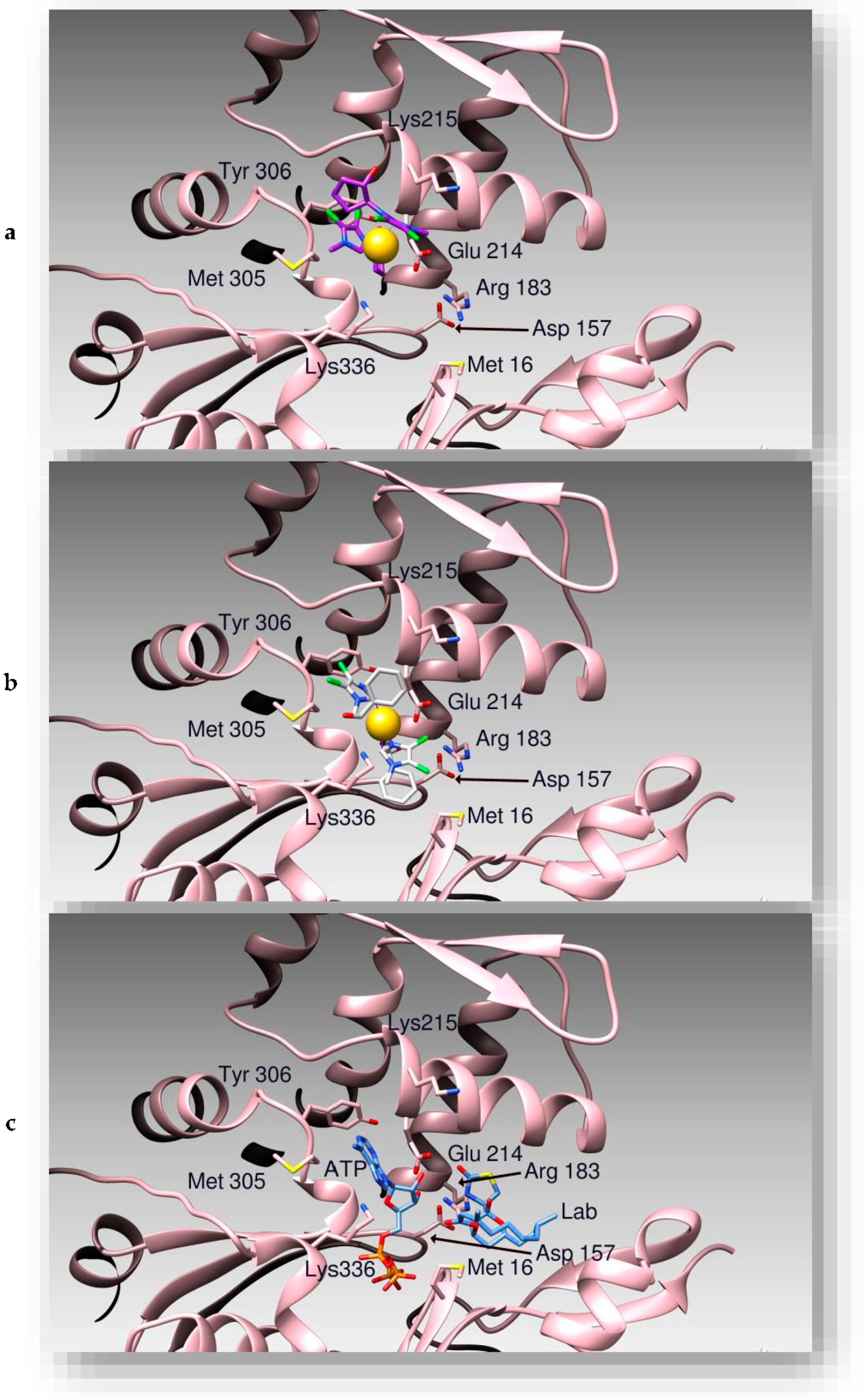 Applsci 11 05626 g003