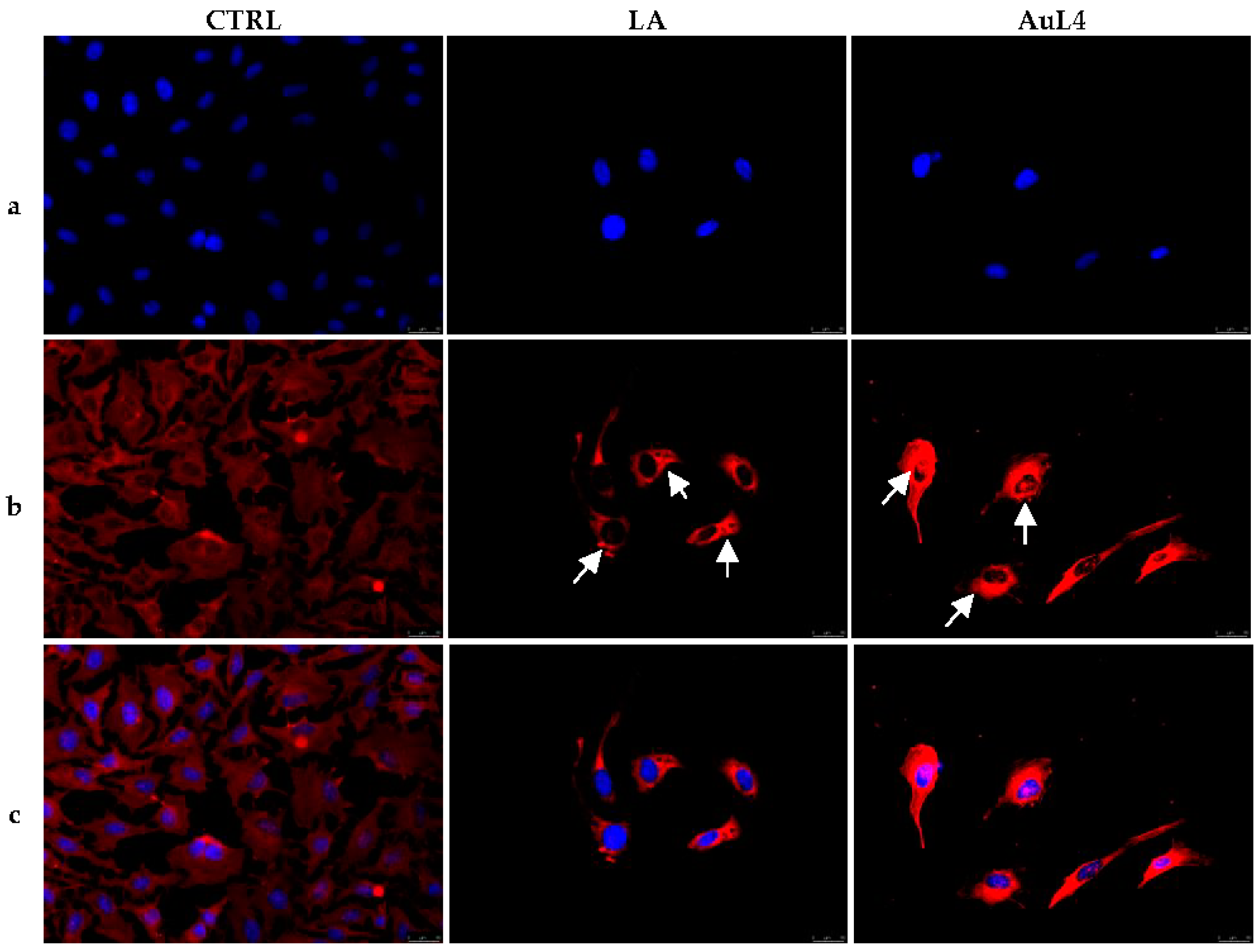 Applsci 11 05626 g004