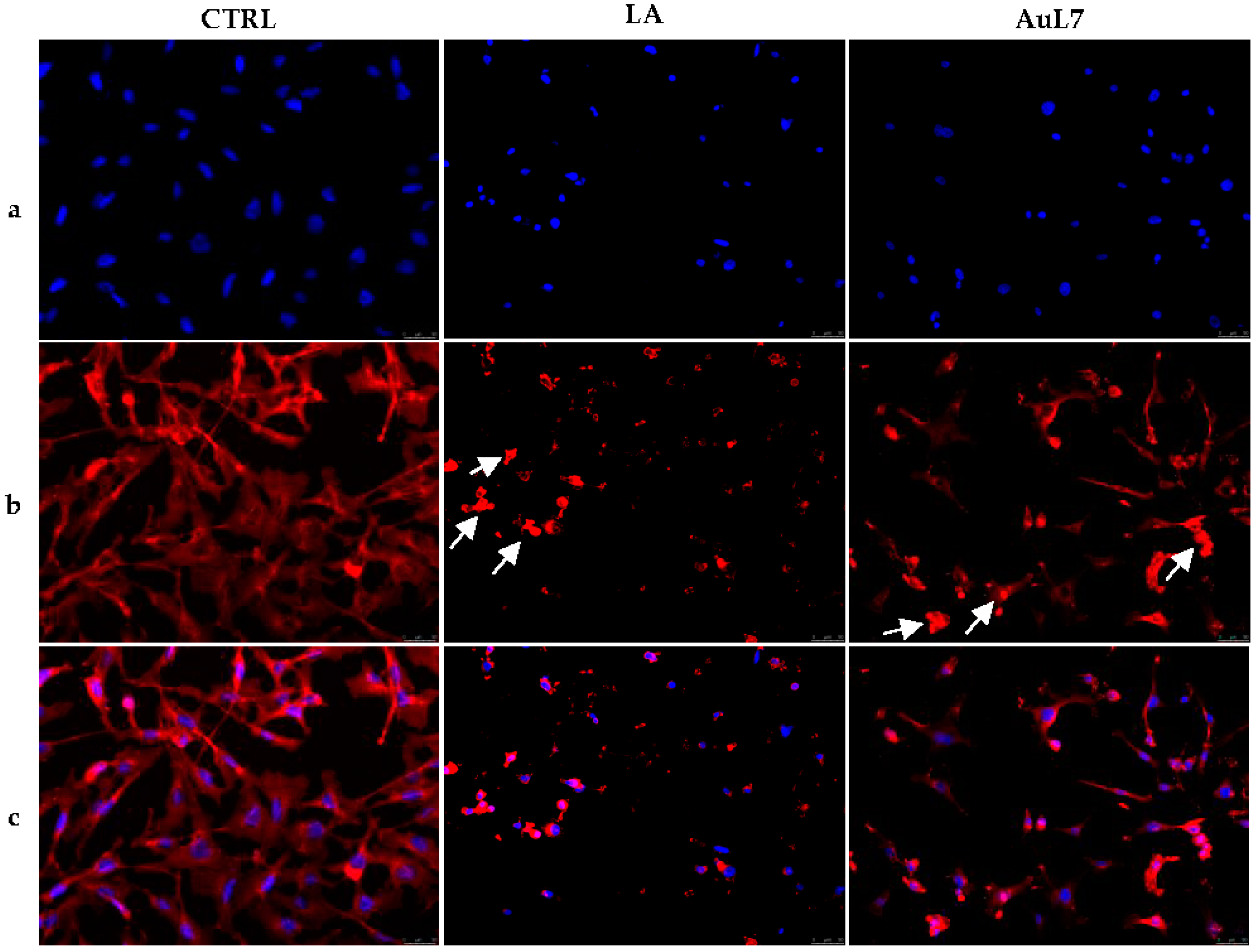 Applsci 11 05626 g005
