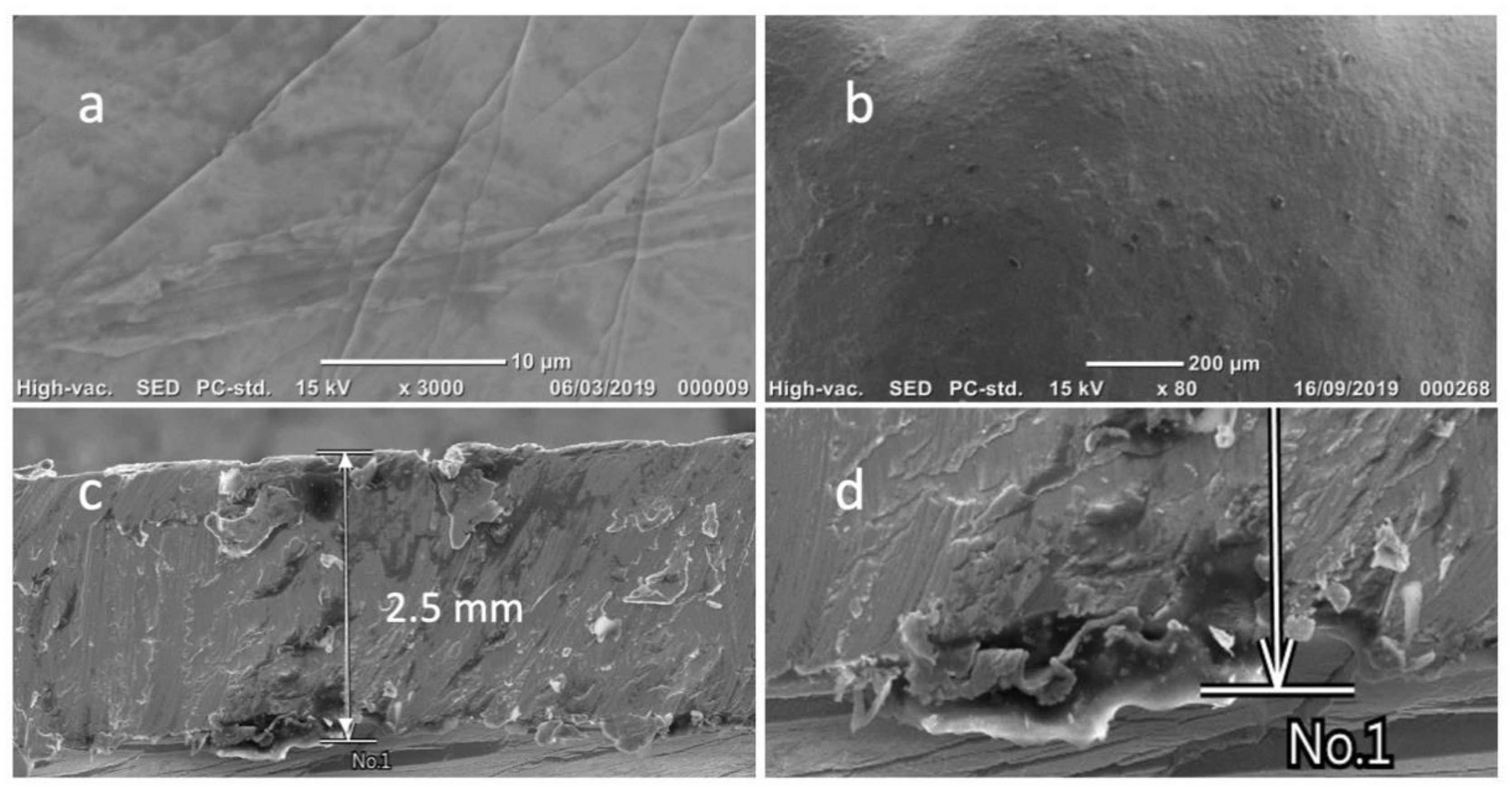 Applsci 11 05627 g001 Applsci 11 05627 g001