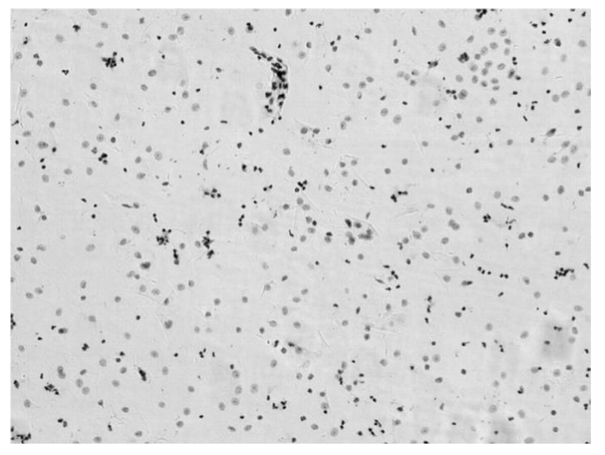 Applsci 11 05628 g004 Applsci 11 05628 g004