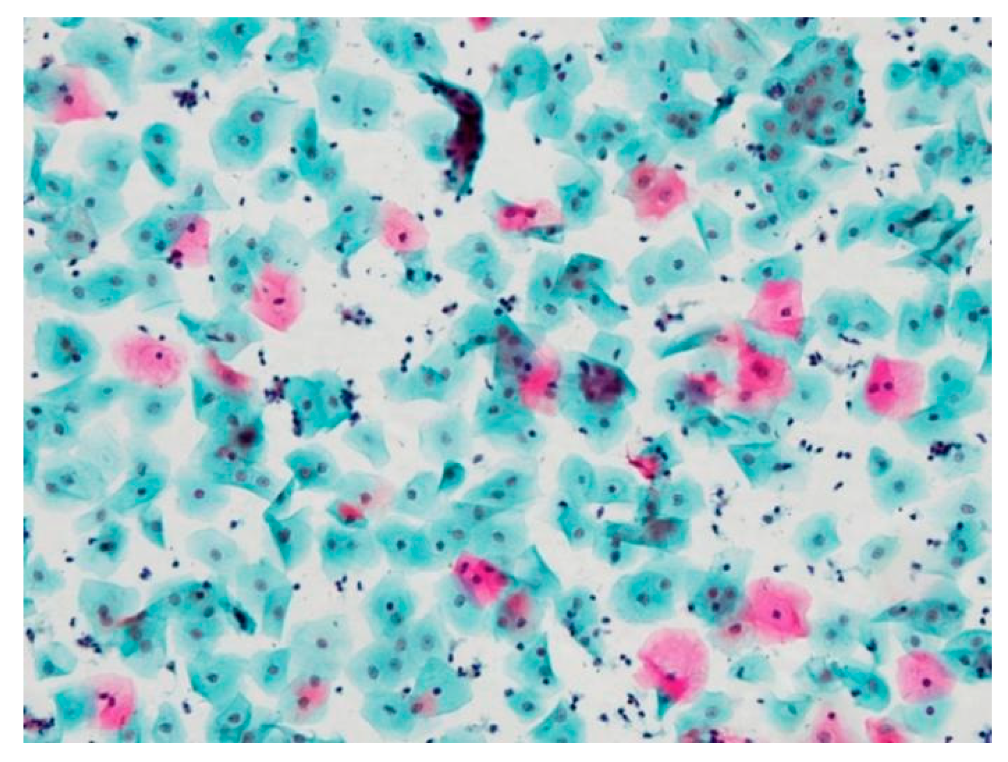 Applsci 11 05628 g005 Applsci 11 05628 g005