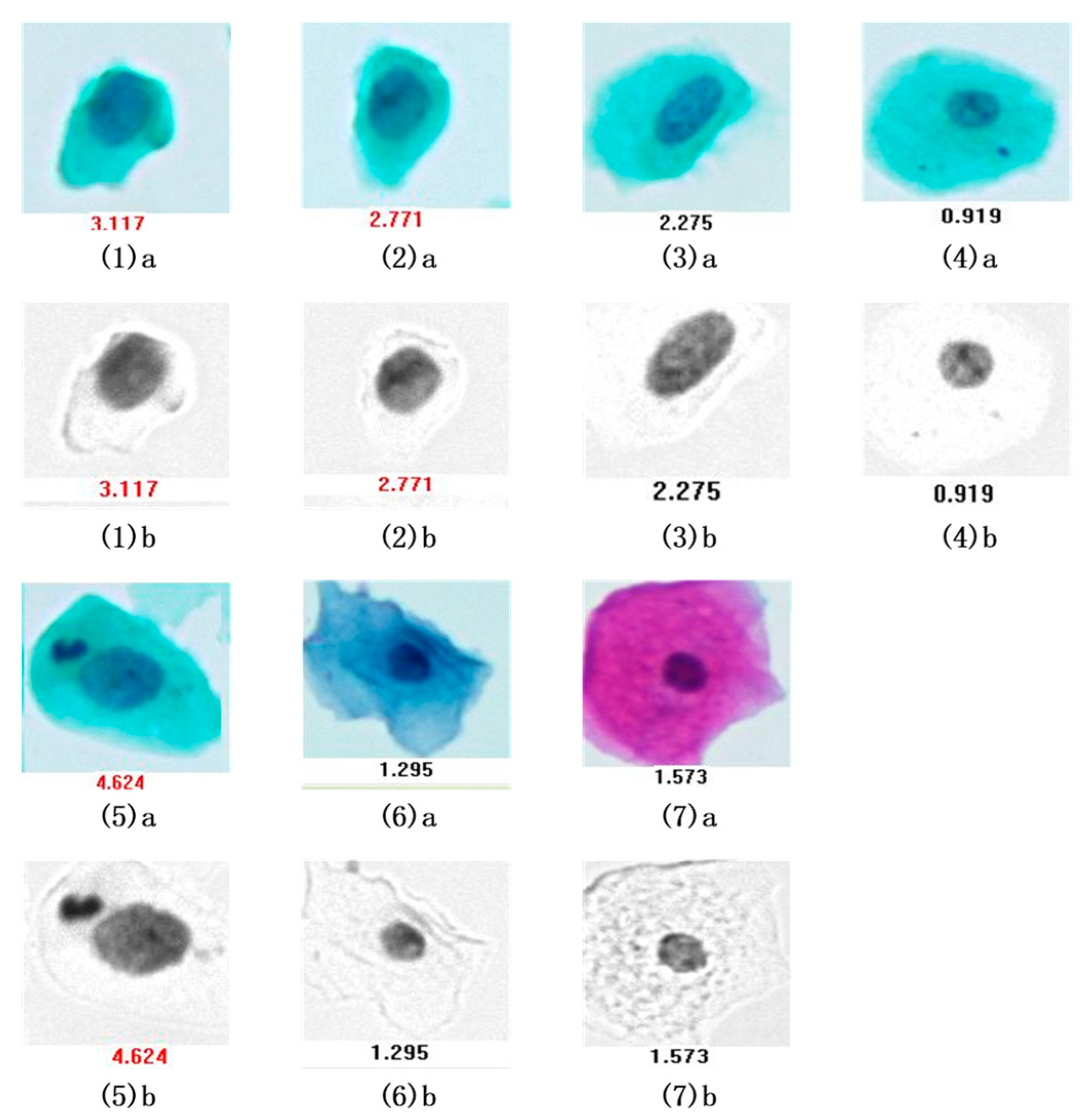 Applsci 11 05628 g006 Applsci 11 05628 g006