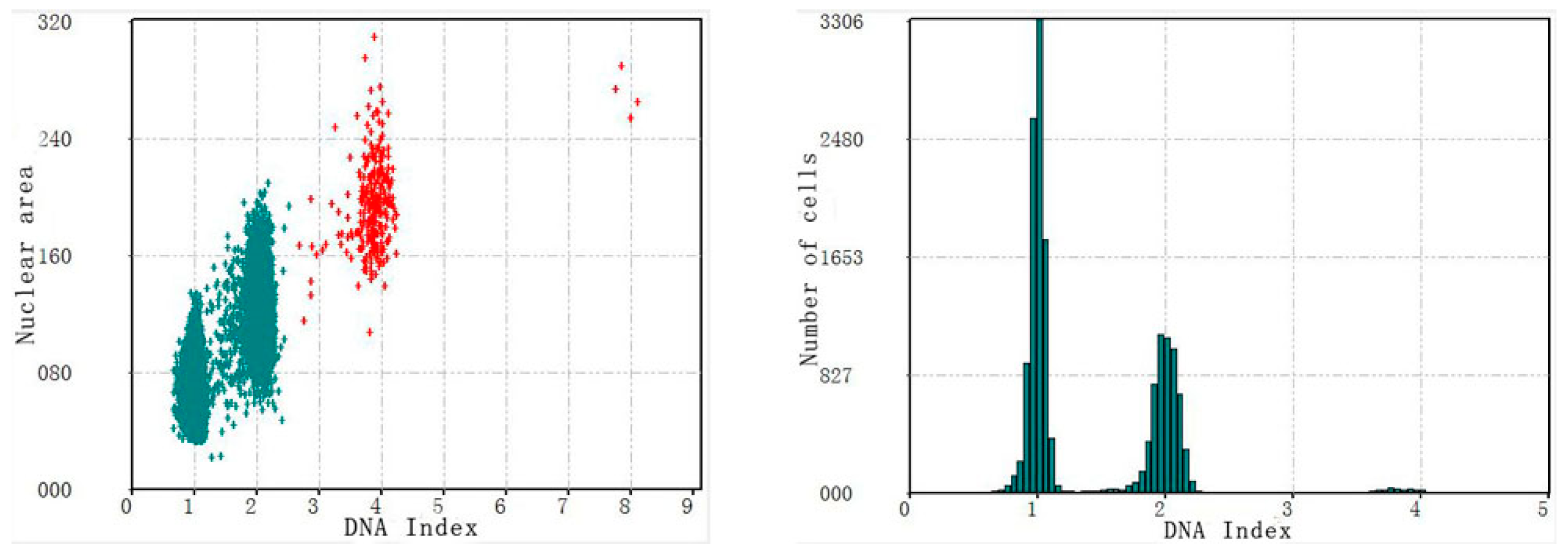 Applsci 11 05628 g007 Applsci 11 05628 g007