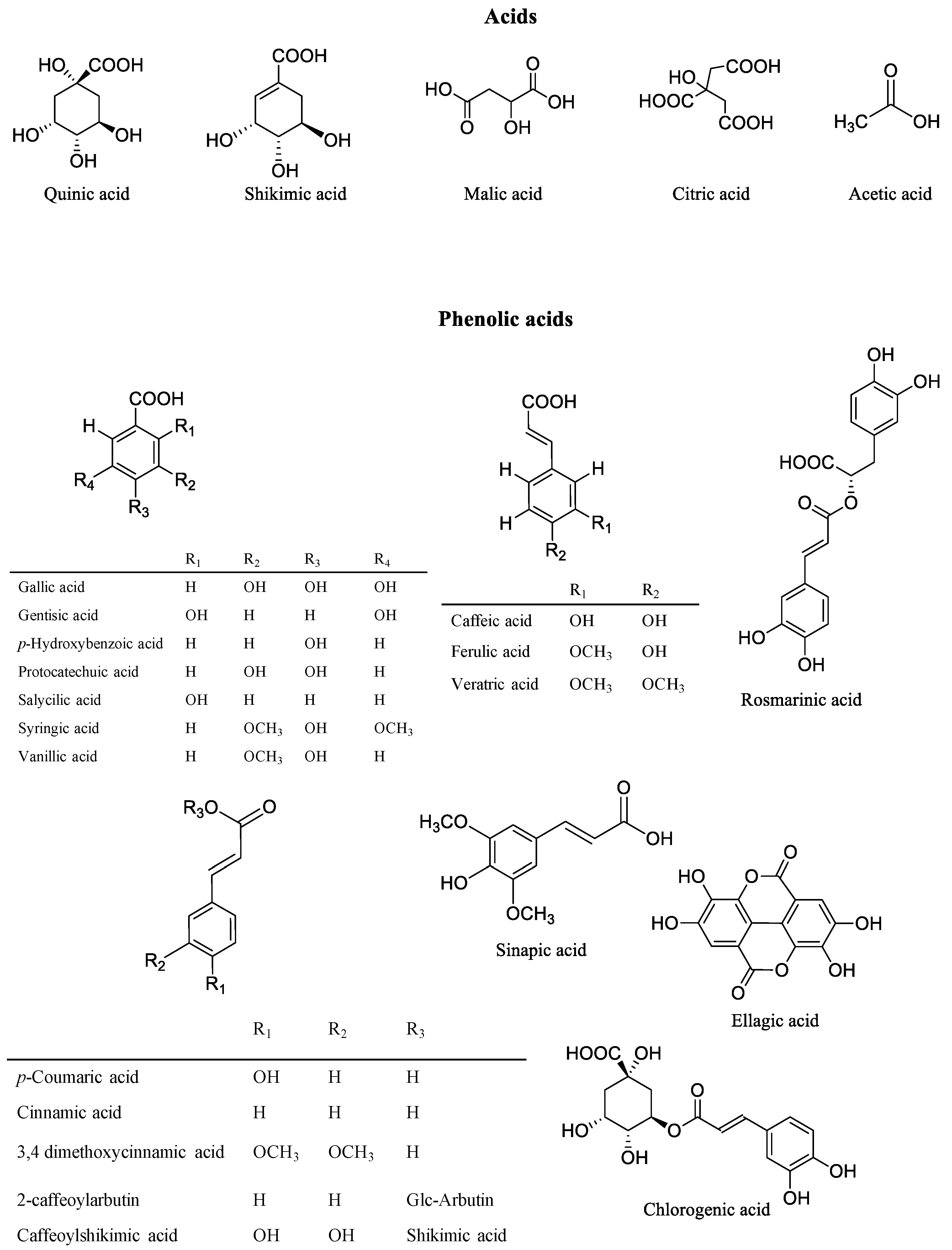 Applsci 11 05655 g003