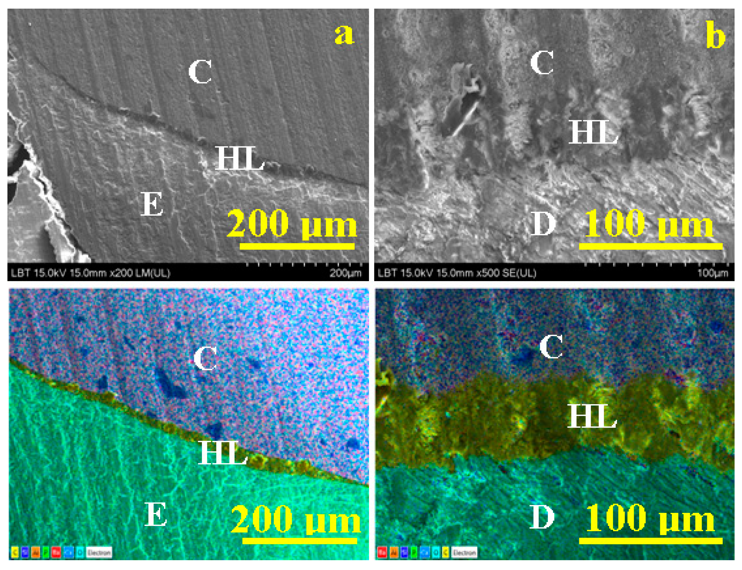 Applsci 11 05657 g005