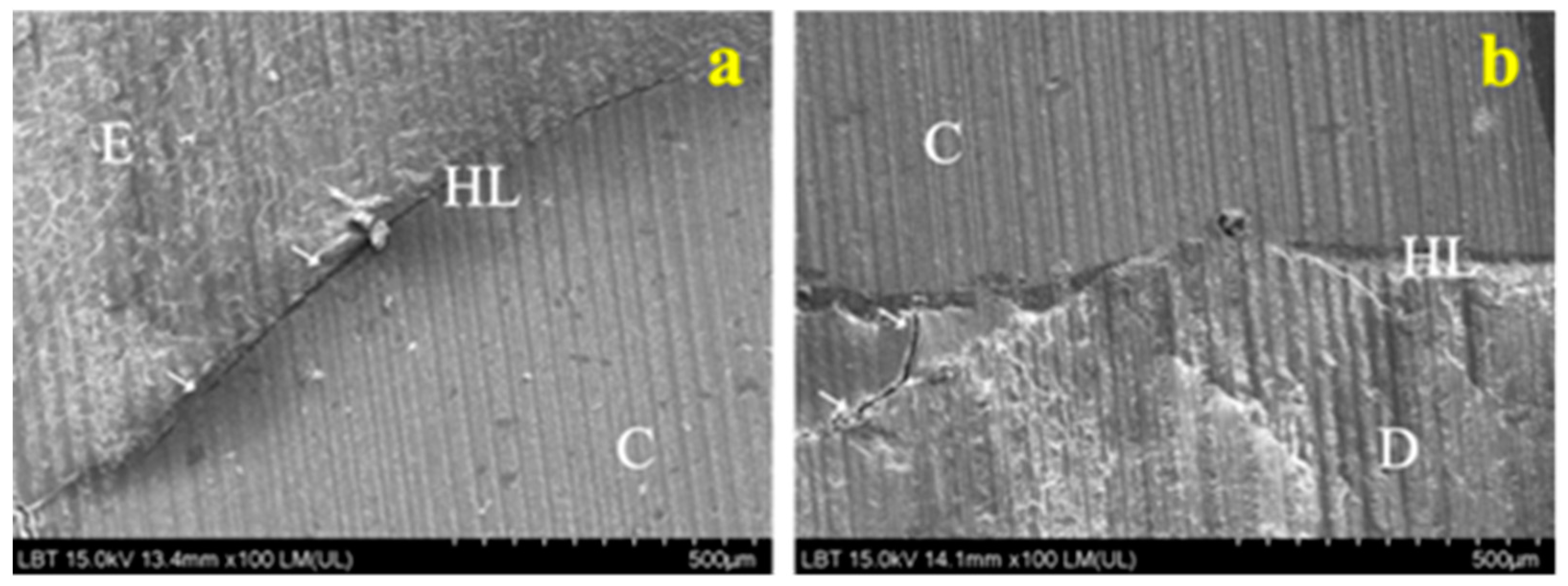 Applsci 11 05657 g007