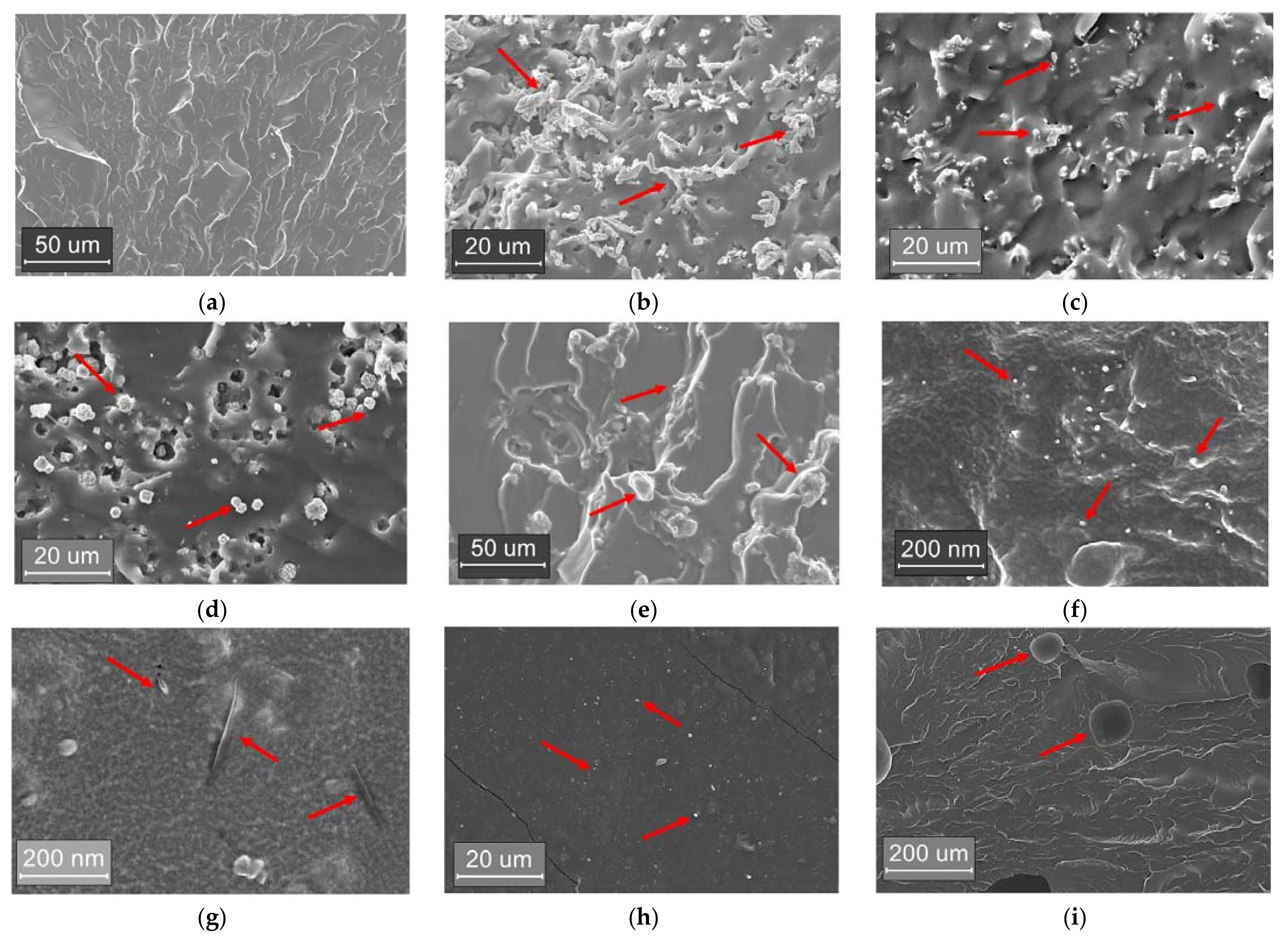 Applsci 11 05663 g004 Applsci 11 05663 g004