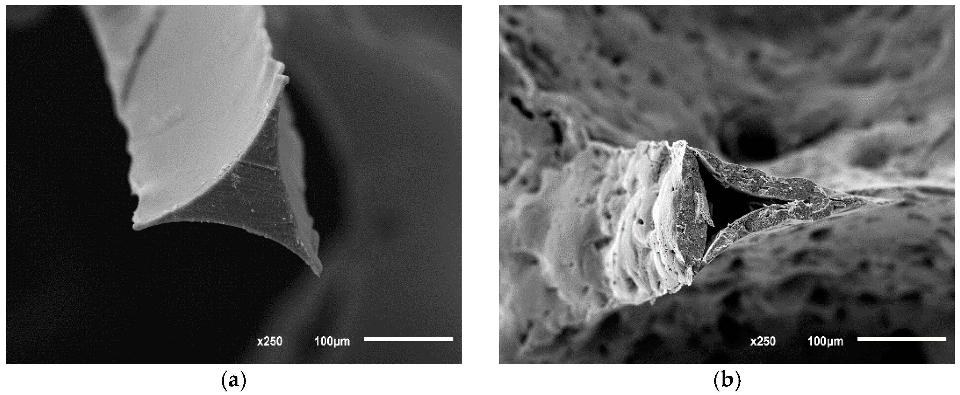 Applsci 11 05672 g002