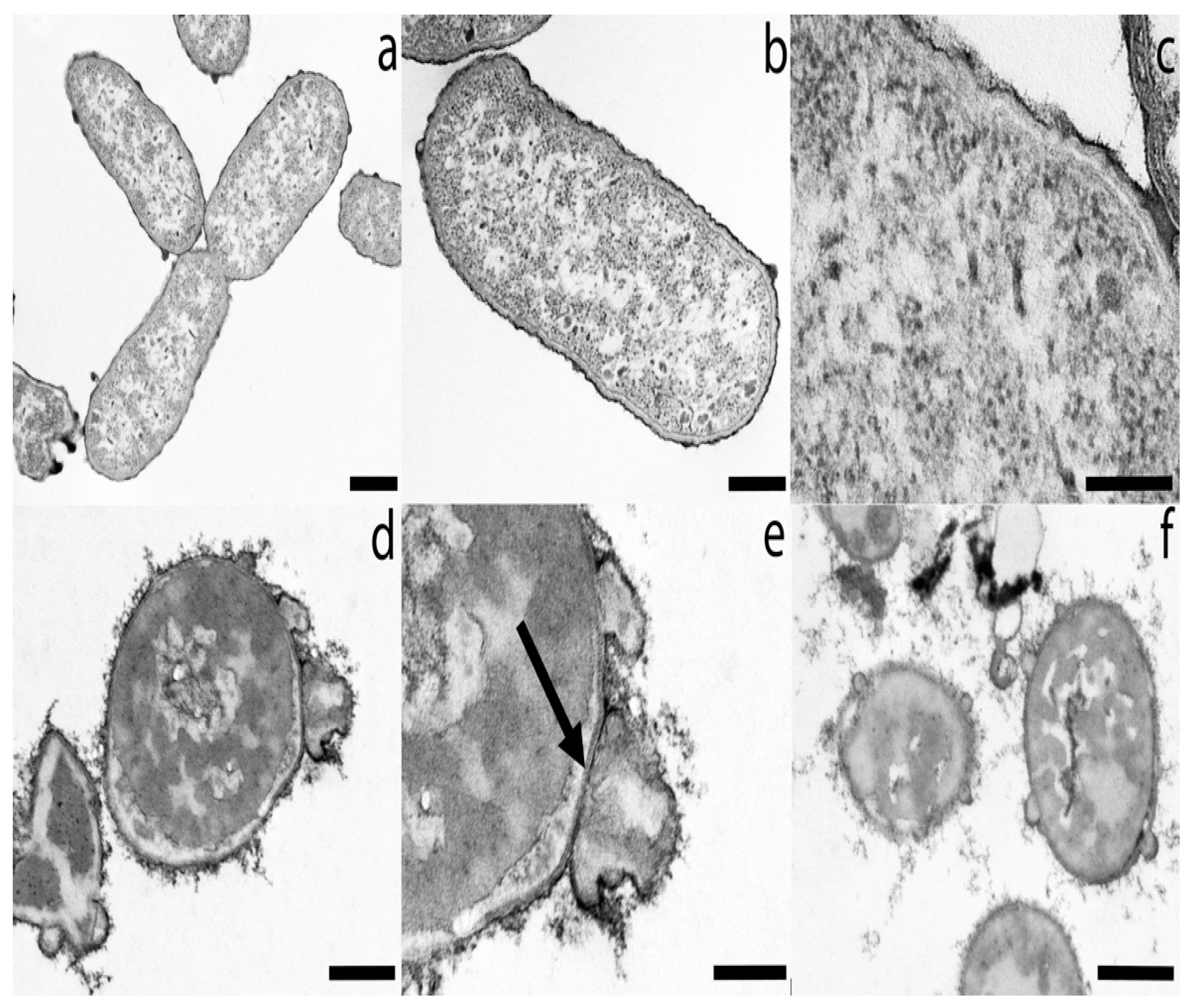 Applsci 11 05688 g002 Applsci 11 05688 g002