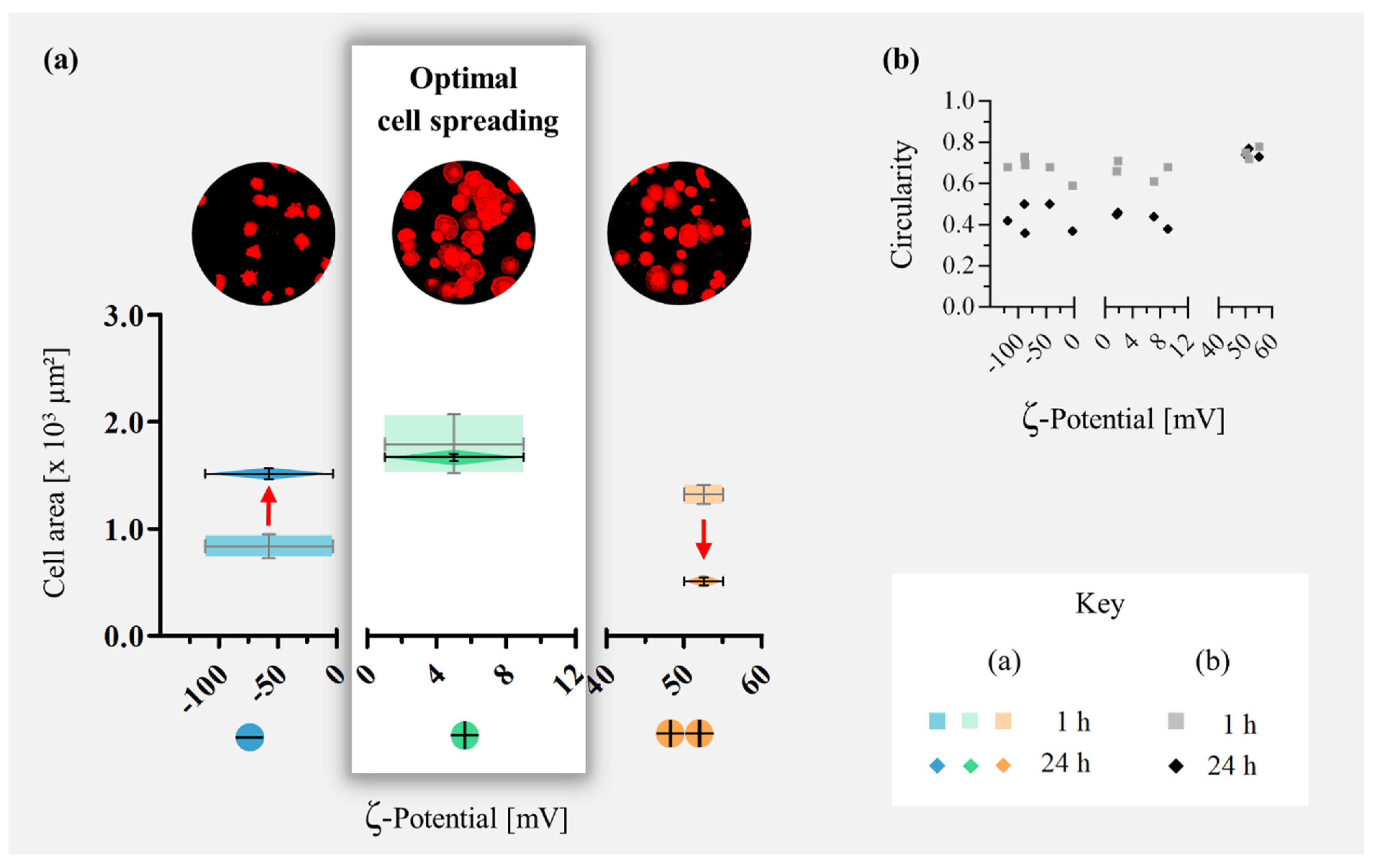 Applsci 11 05689 g001