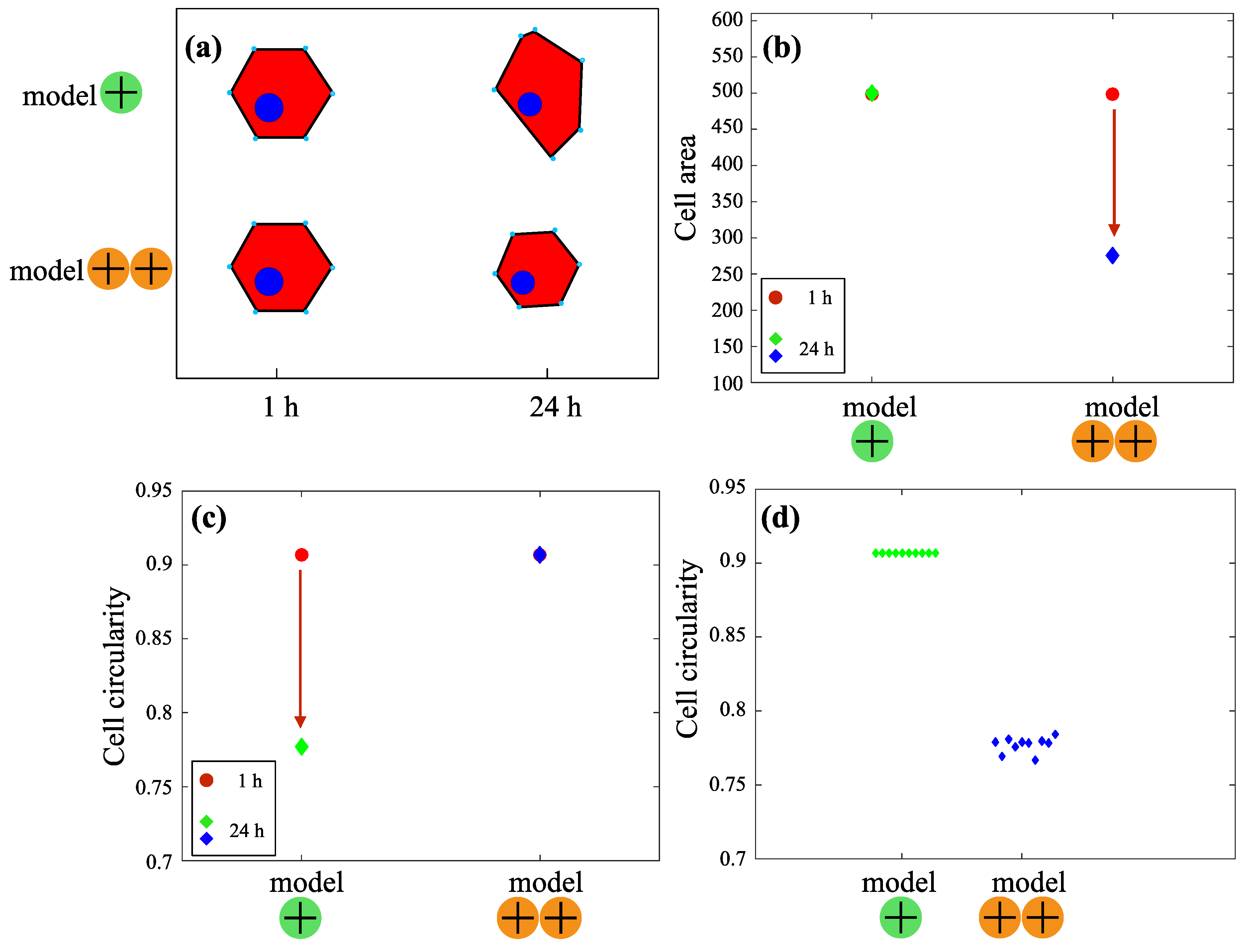 Applsci 11 05689 g006