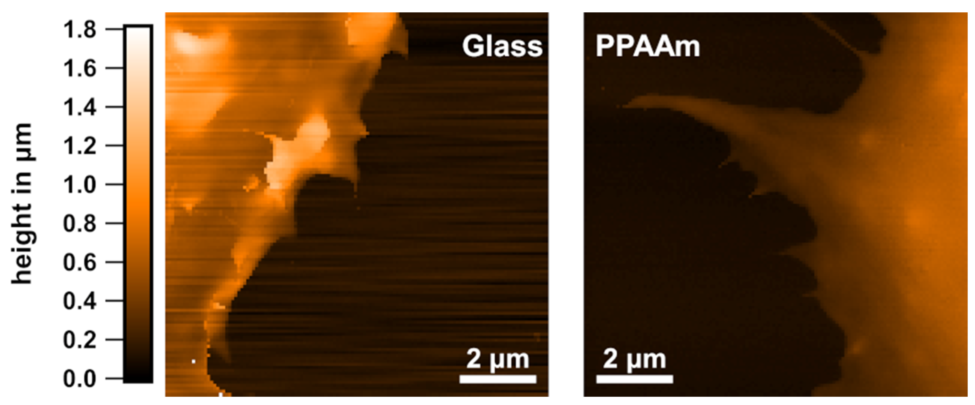 Applsci 11 05689 g007