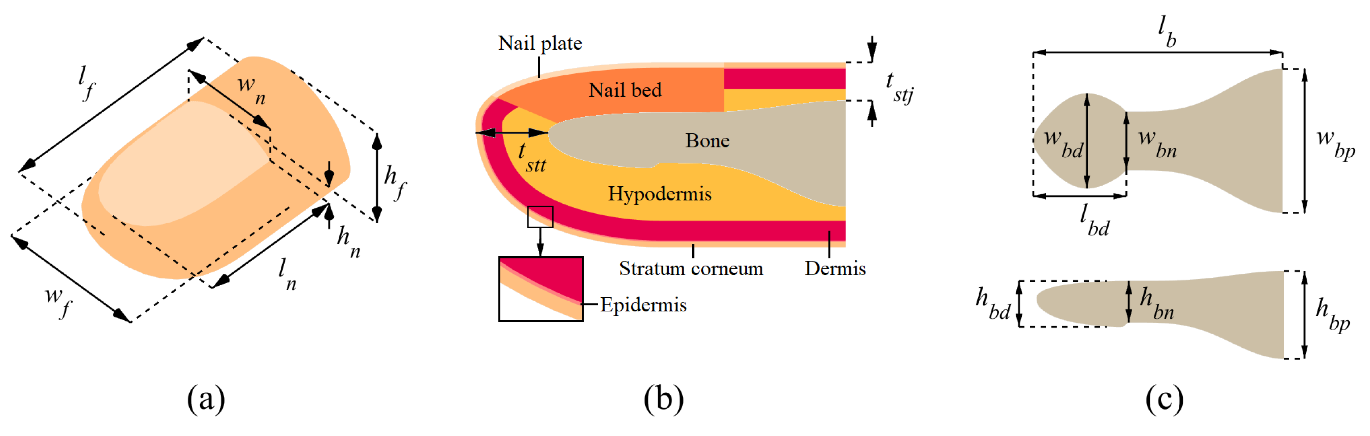 Applsci 11 05709 g001