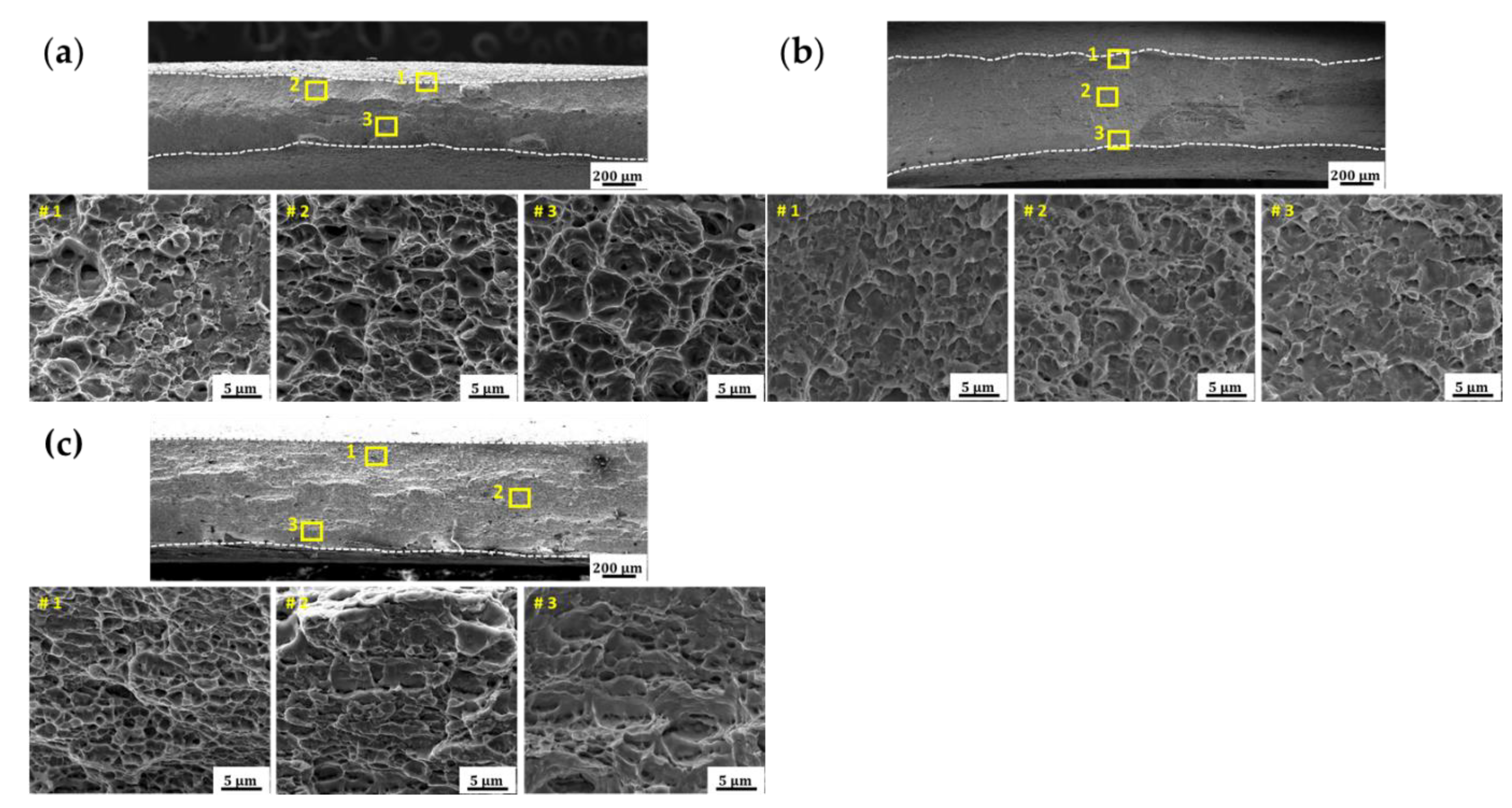 Applsci 11 05728 g011 Applsci 11 05728 g011