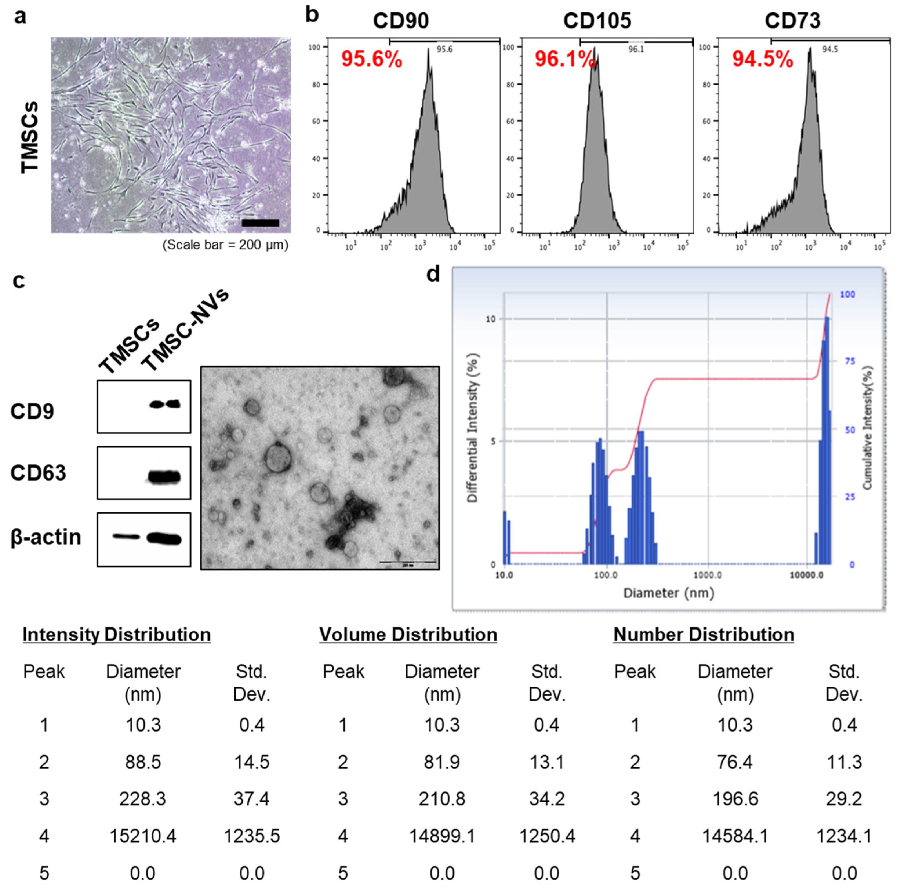 Applsci 11 05780 g001