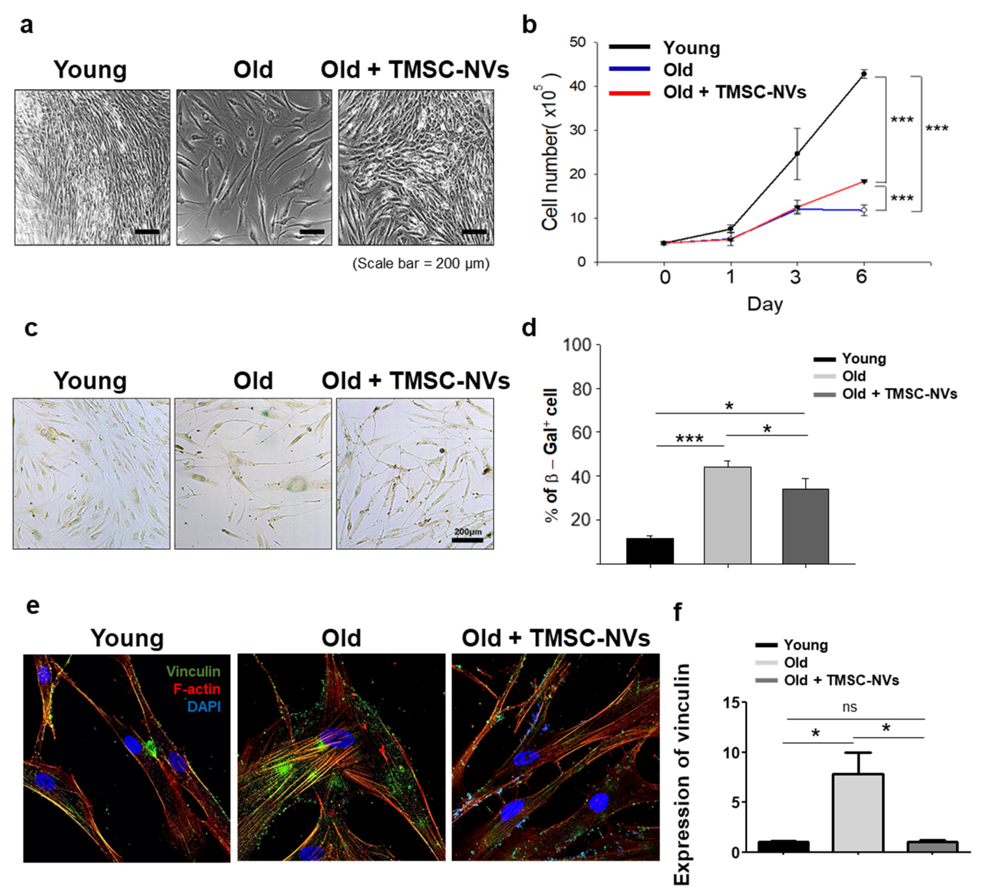 Applsci 11 05780 g002
