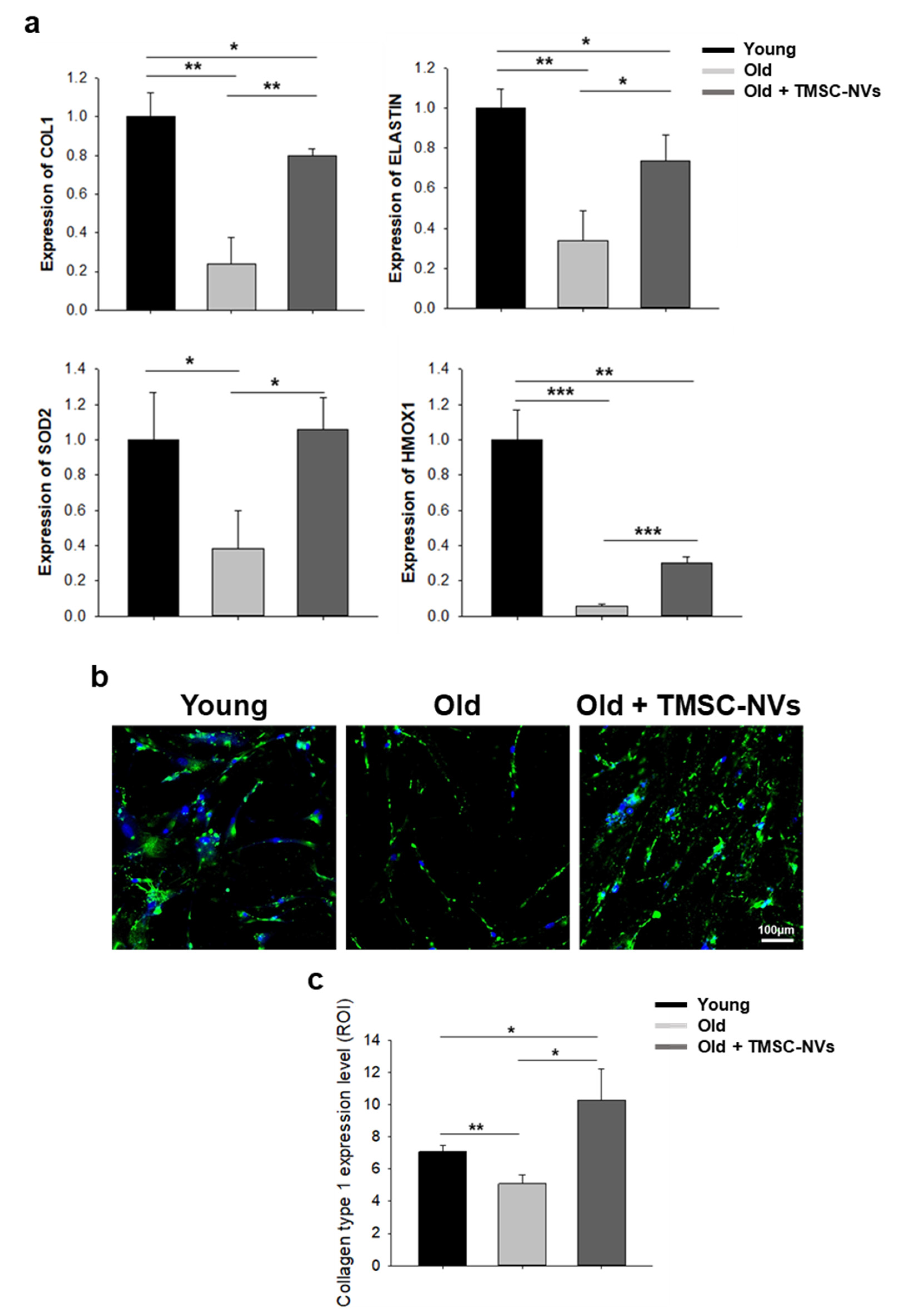 Applsci 11 05780 g003