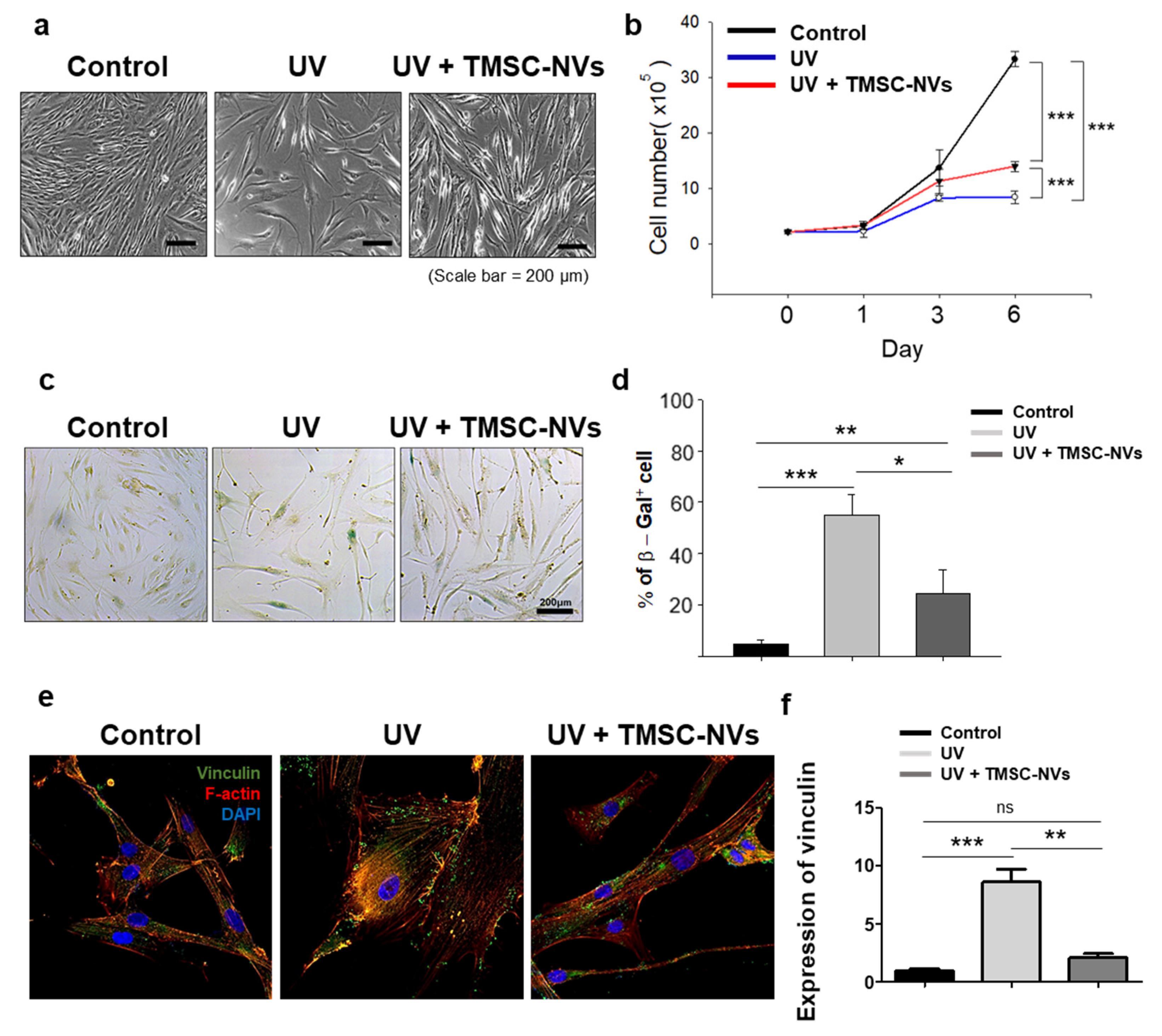 Applsci 11 05780 g004