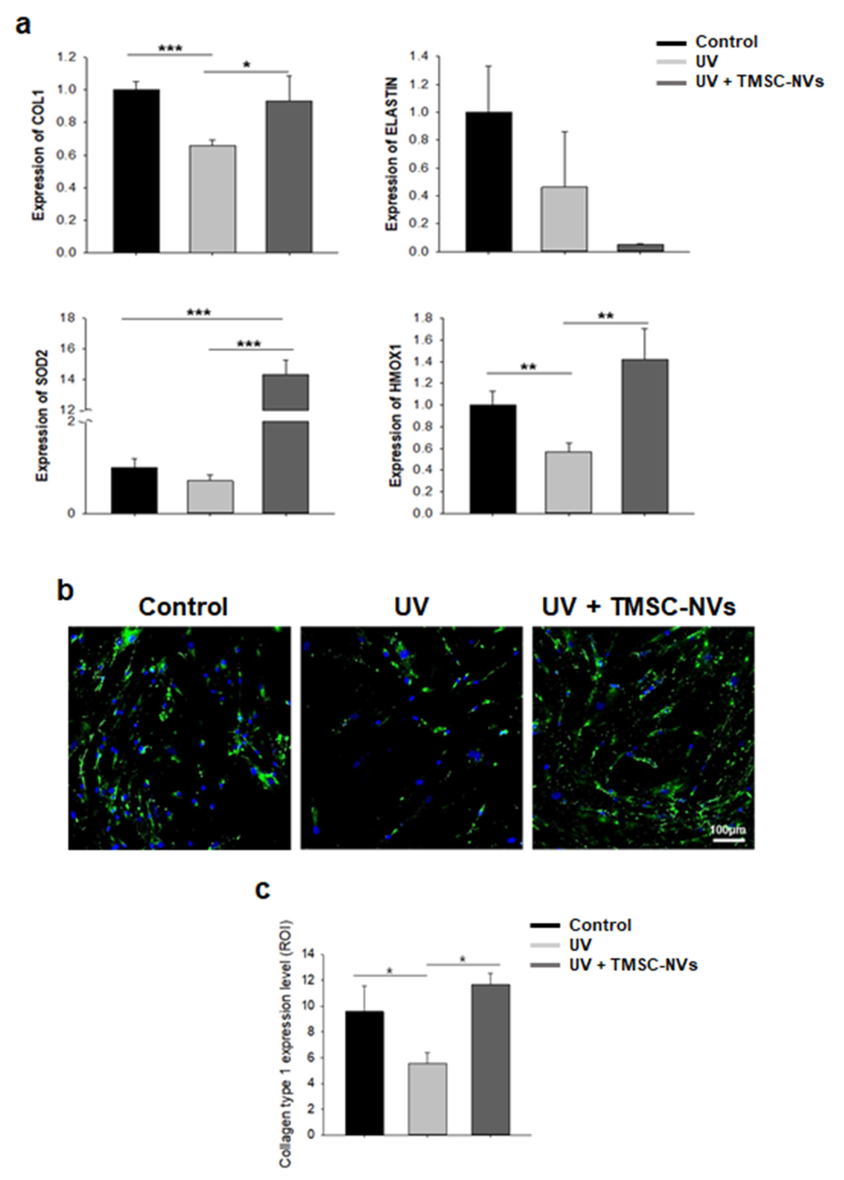 Applsci 11 05780 g005