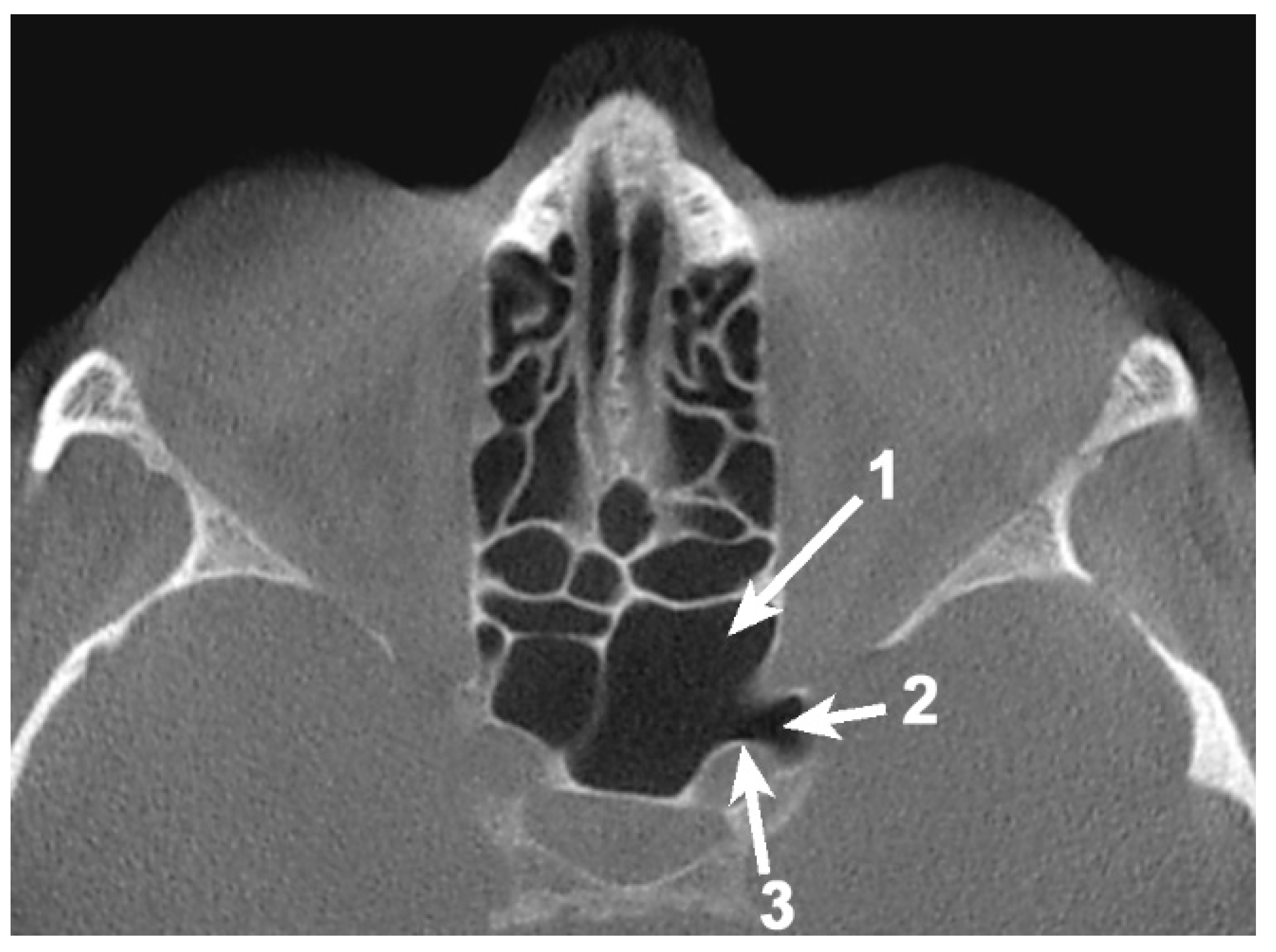 Applsci 11 05797 g001 550