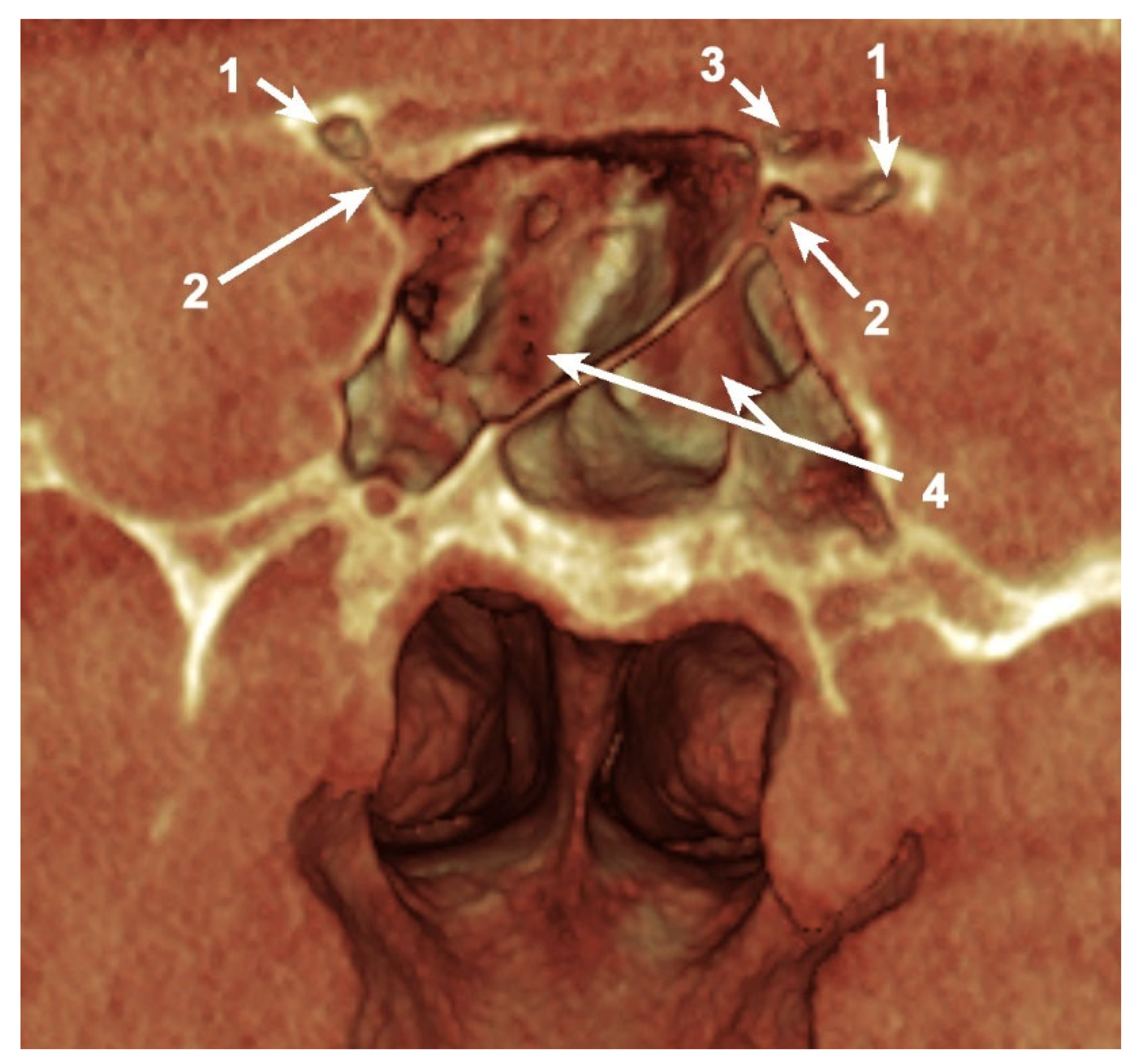 Applsci 11 05797 g002 550