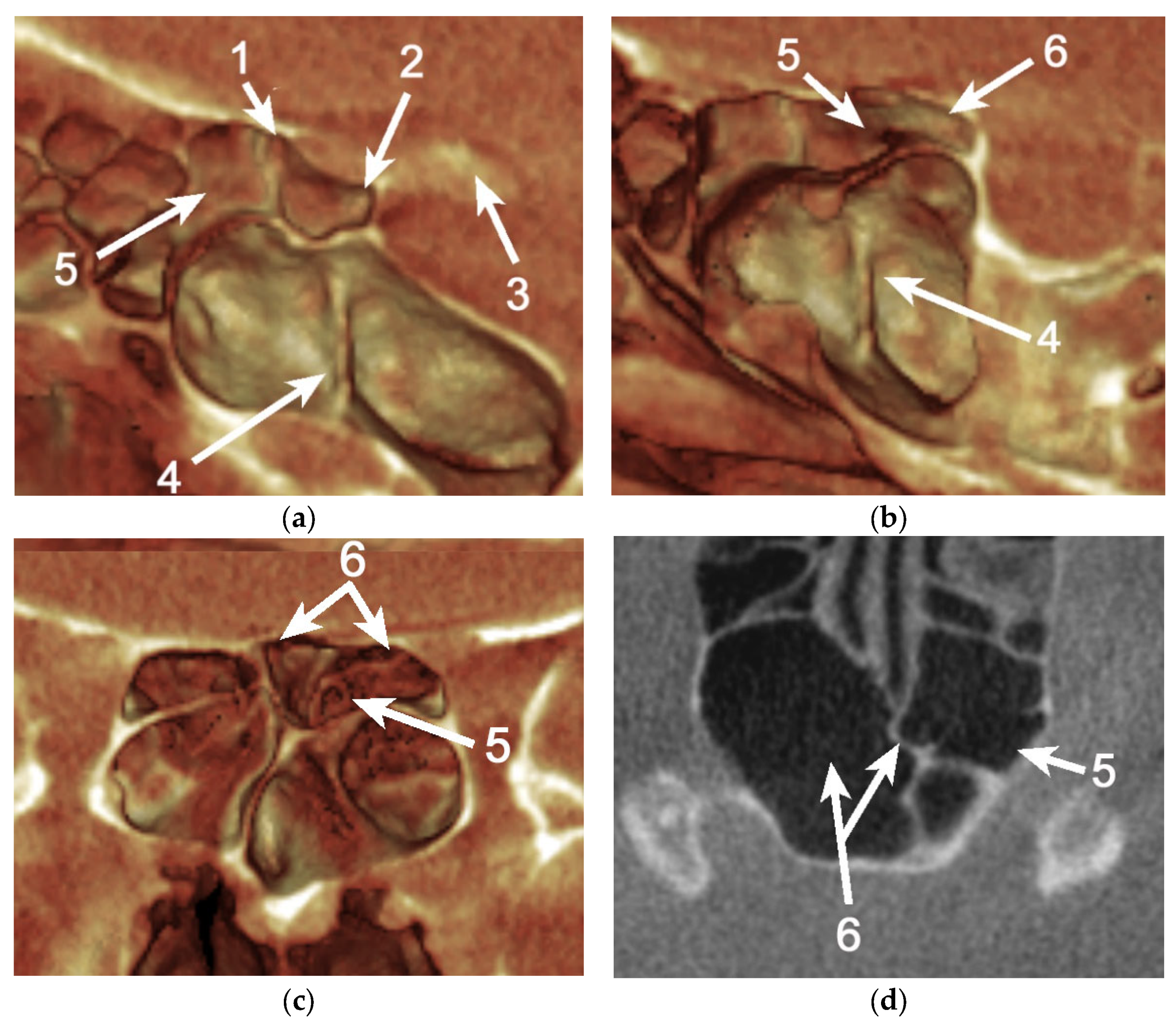 Applsci 11 05797 g005 550