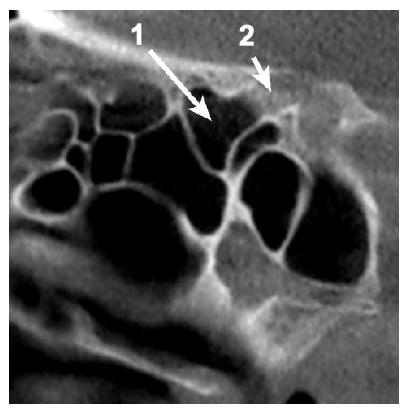 Applsci 11 05797 g006 550