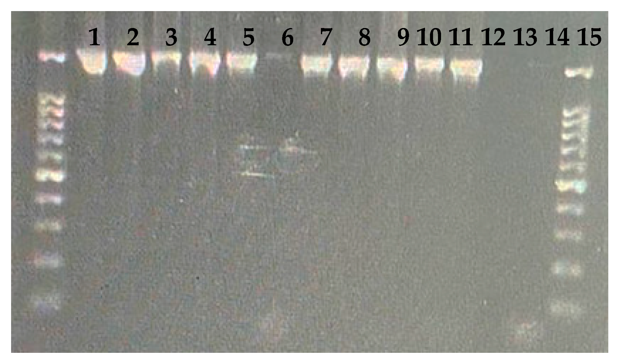 Applsci 11 05816 g006