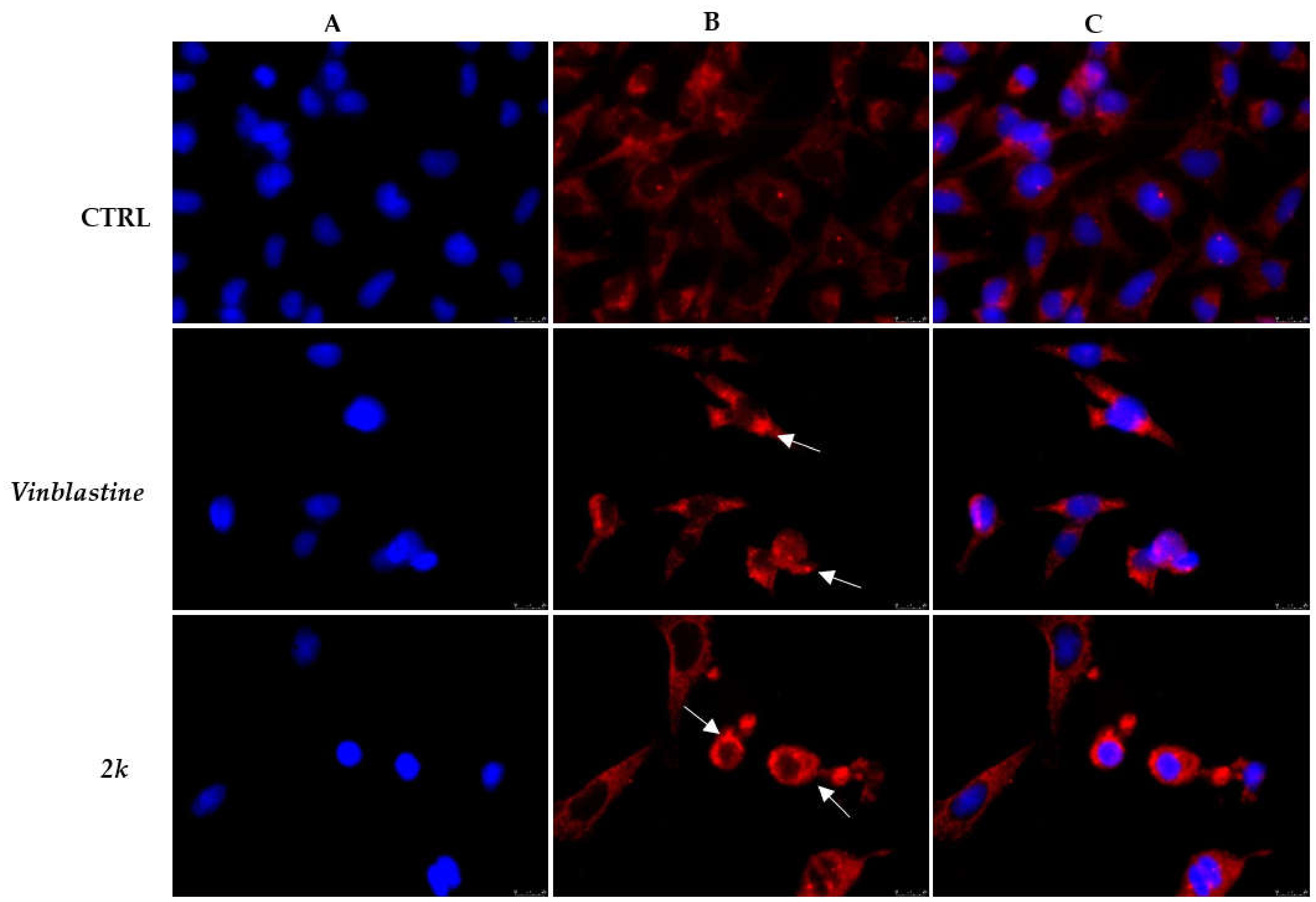 Applsci 11 05823 g002