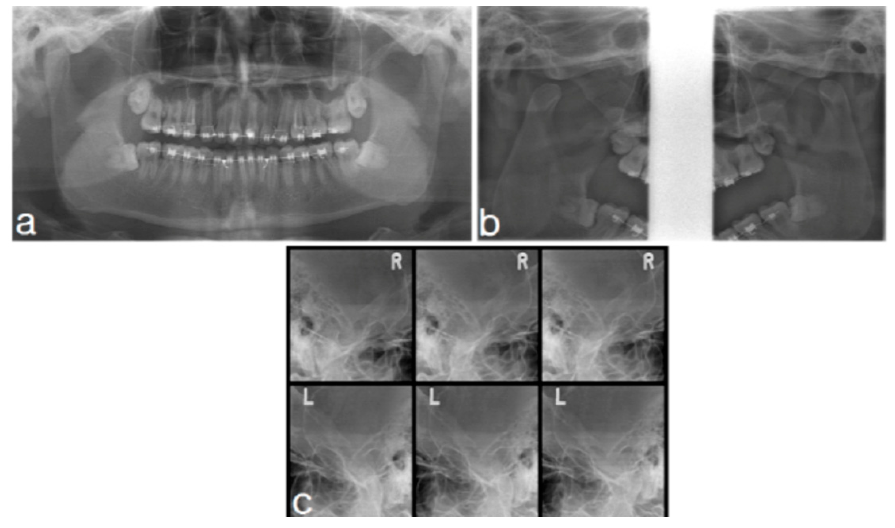 Applsci 11 05824 g001