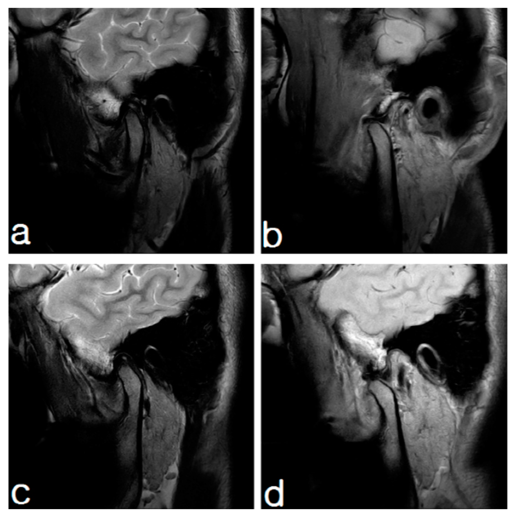 Applsci 11 05824 g002